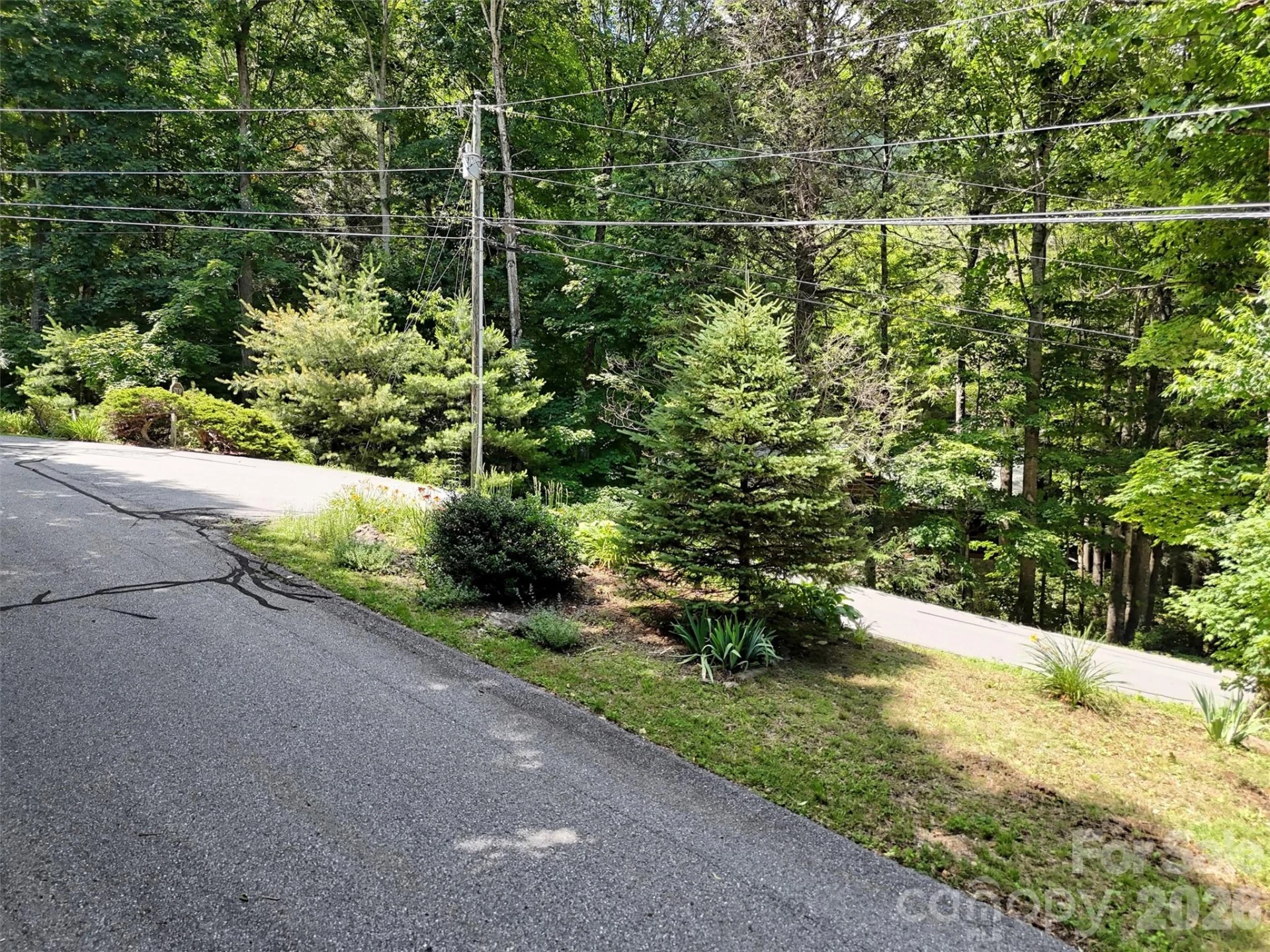 0 Serenity Mountain Road #108 - Photo 13