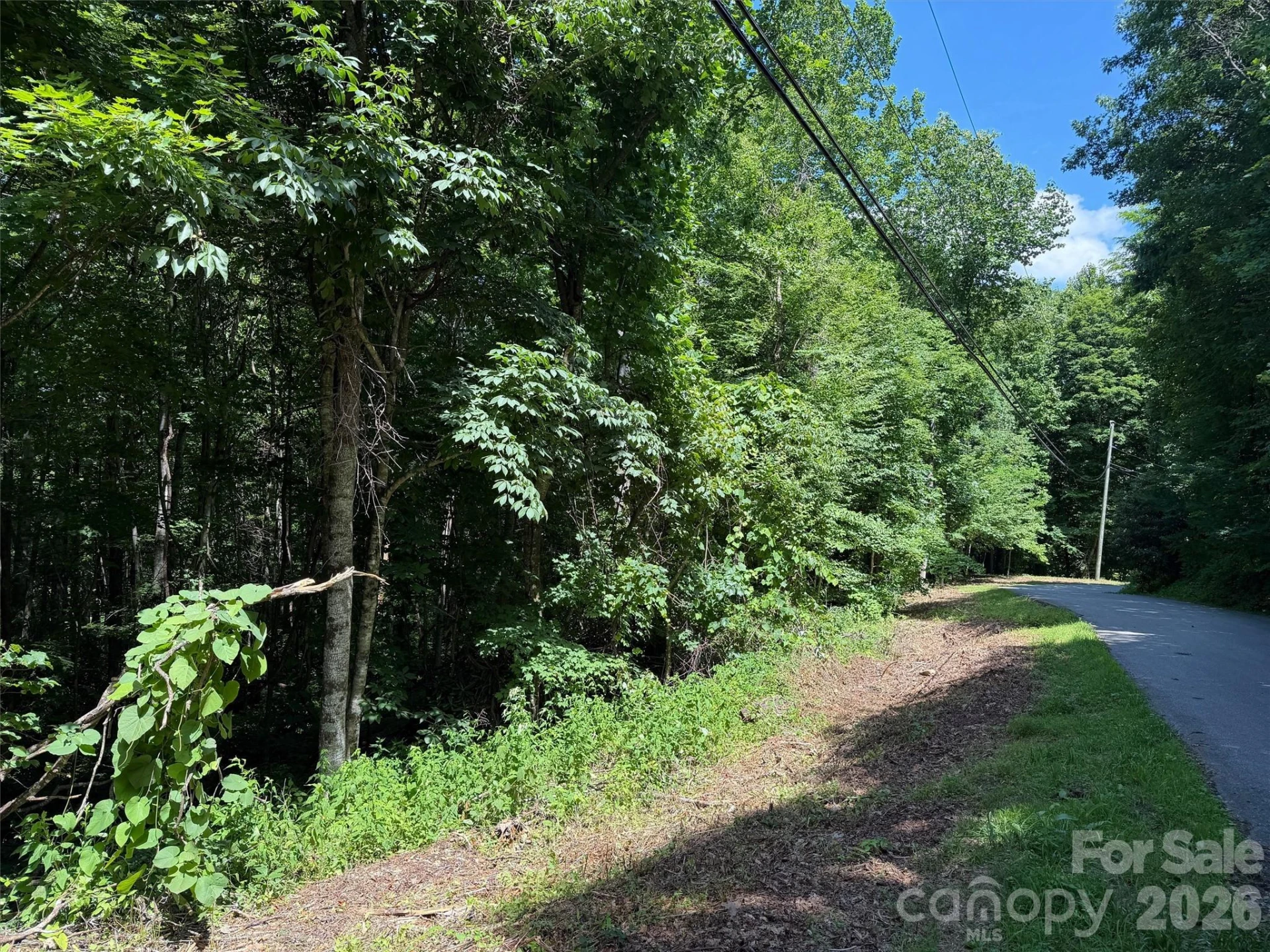 0 Serenity Mountain Road #108 - Photo 14