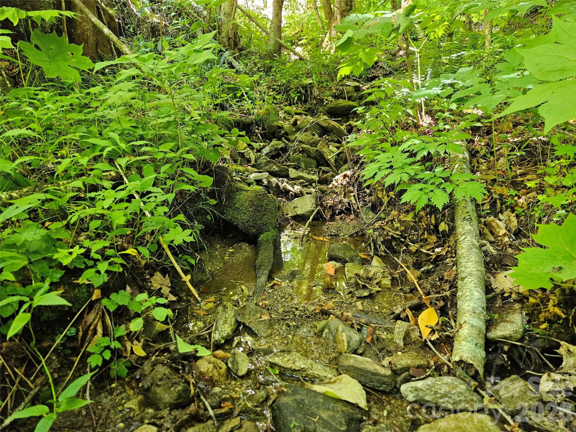 0 Serenity Mountain Road #108 - Photo 16