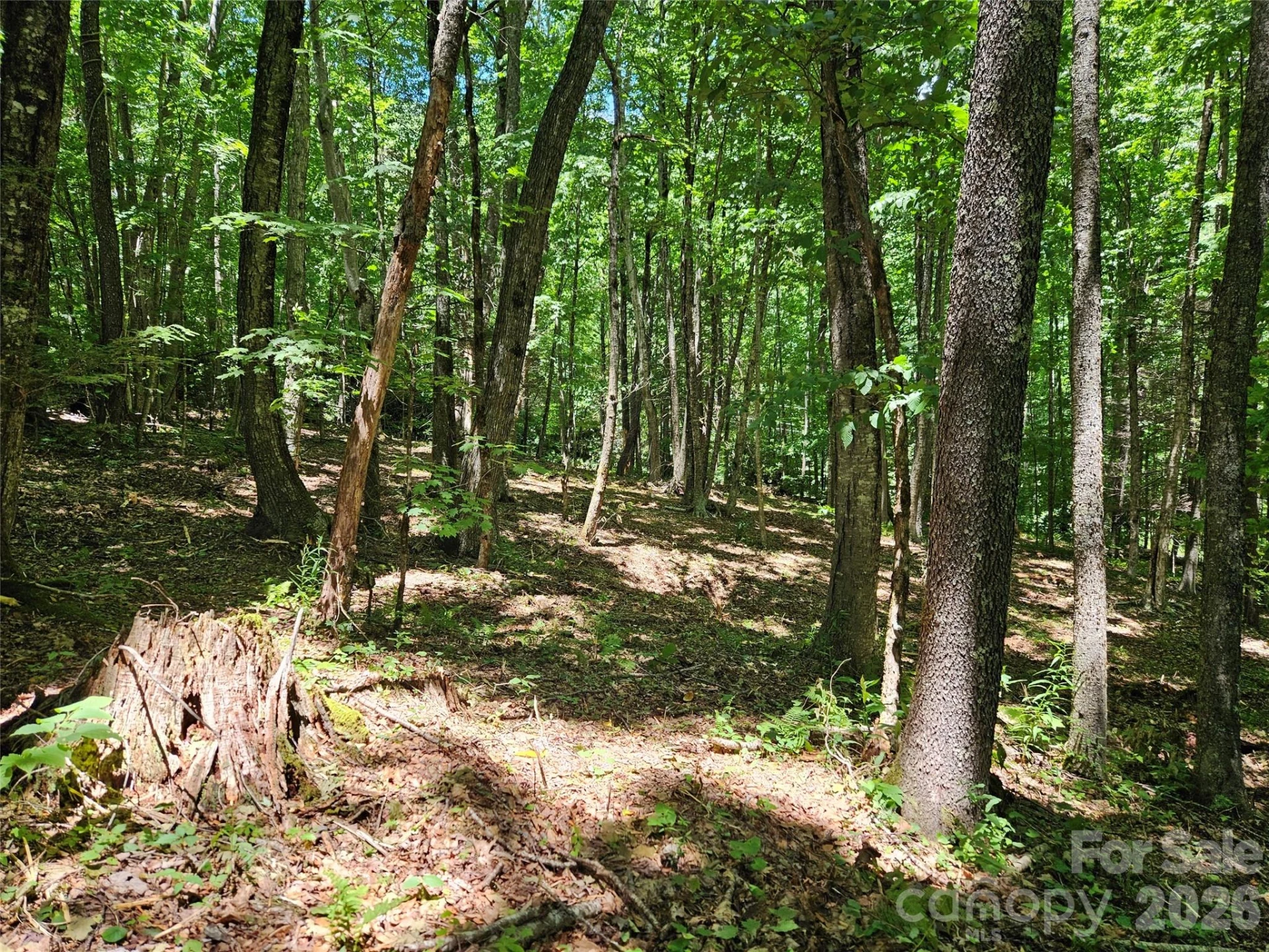 0 Serenity Mountain Road #108 - Photo 18