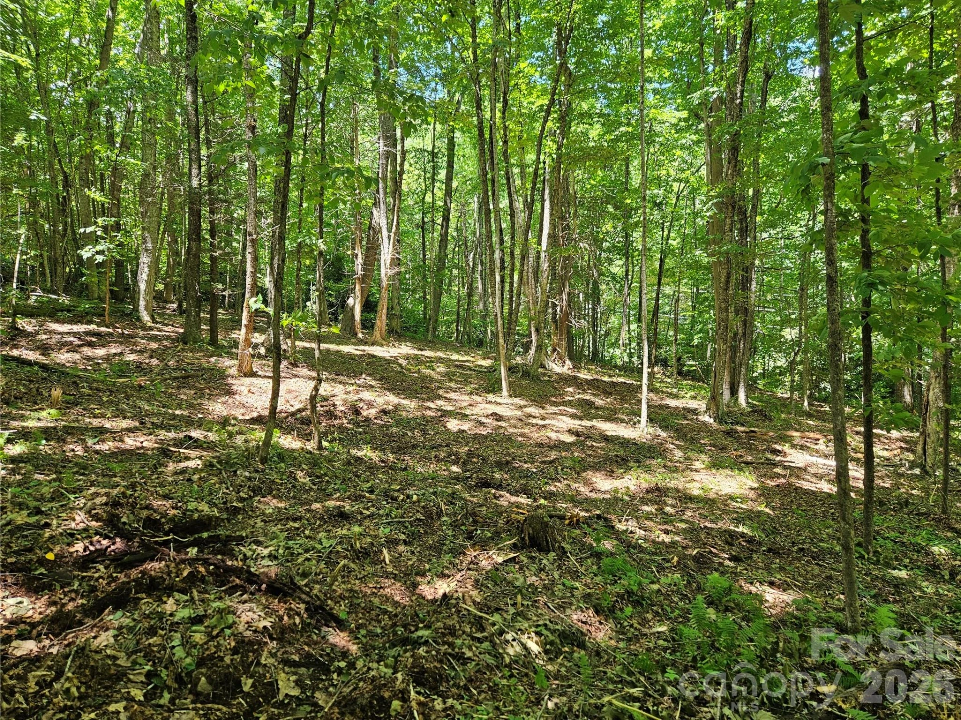 0 Serenity Mountain Road #108 - Photo 20