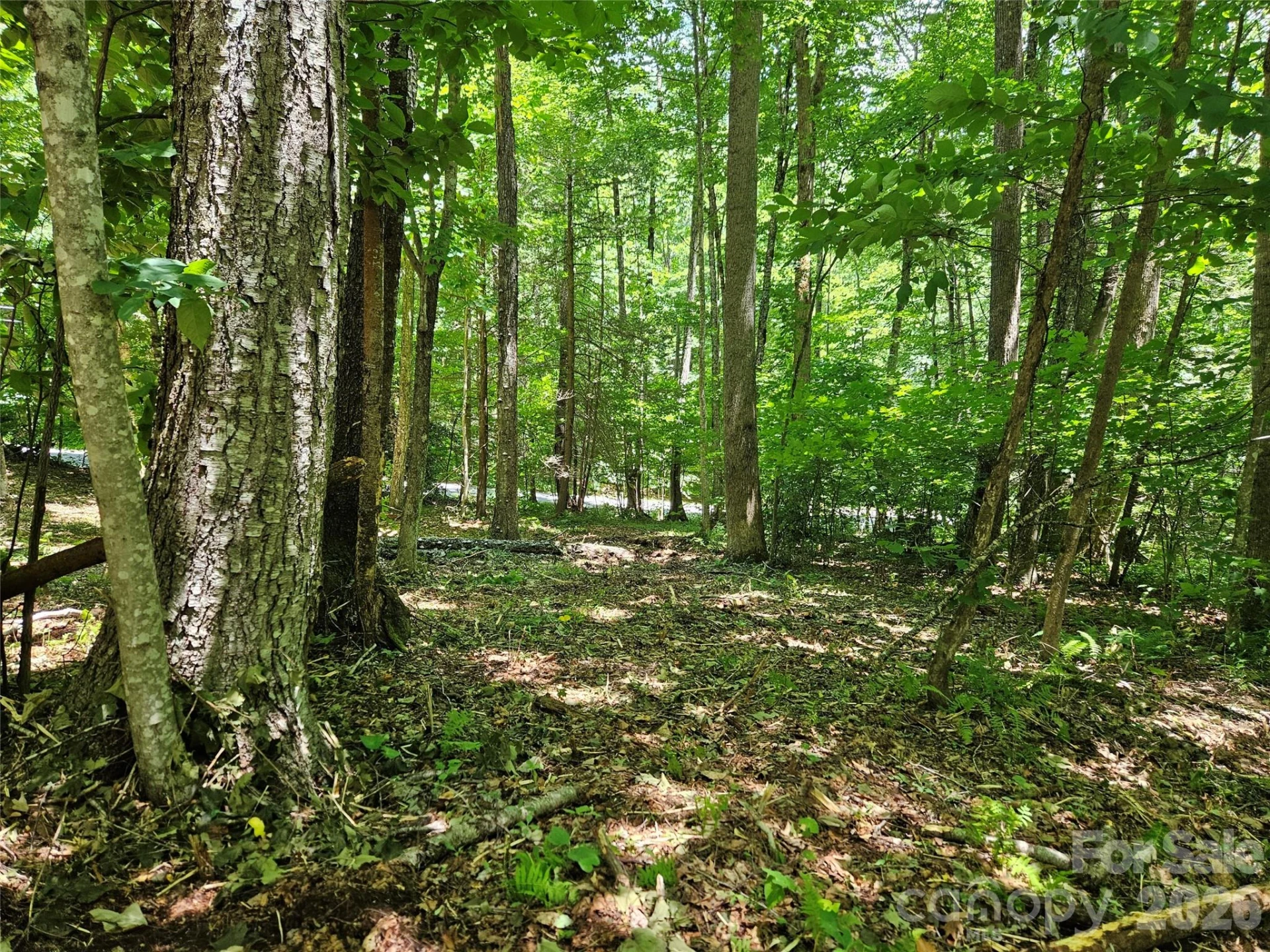 0 Serenity Mountain Road #108 - Photo 22