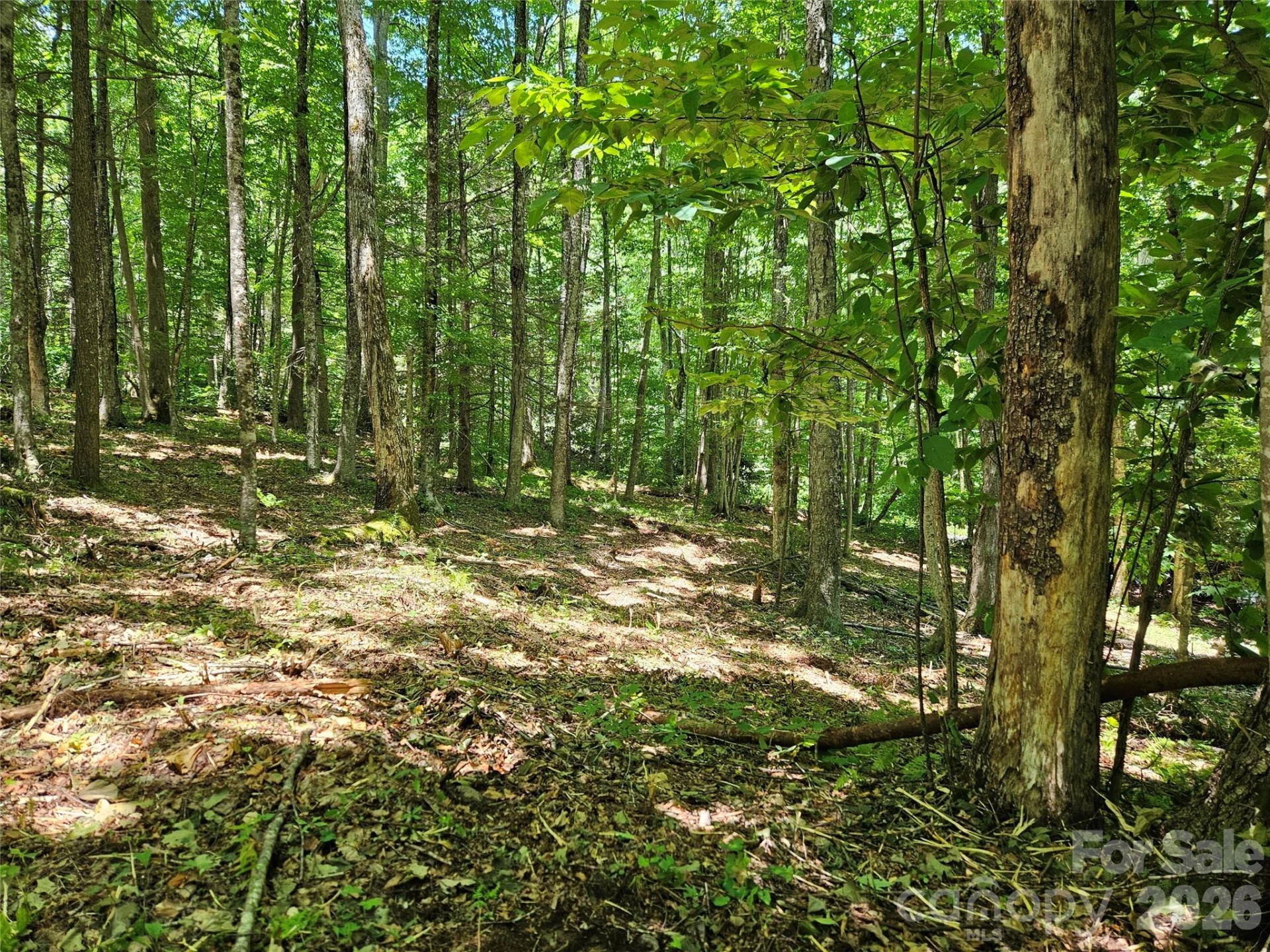 0 Serenity Mountain Road #108 - Photo 24