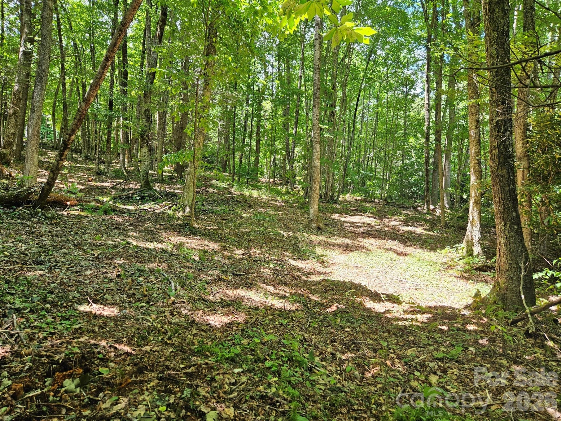 0 Serenity Mountain Road #108 - Photo 26