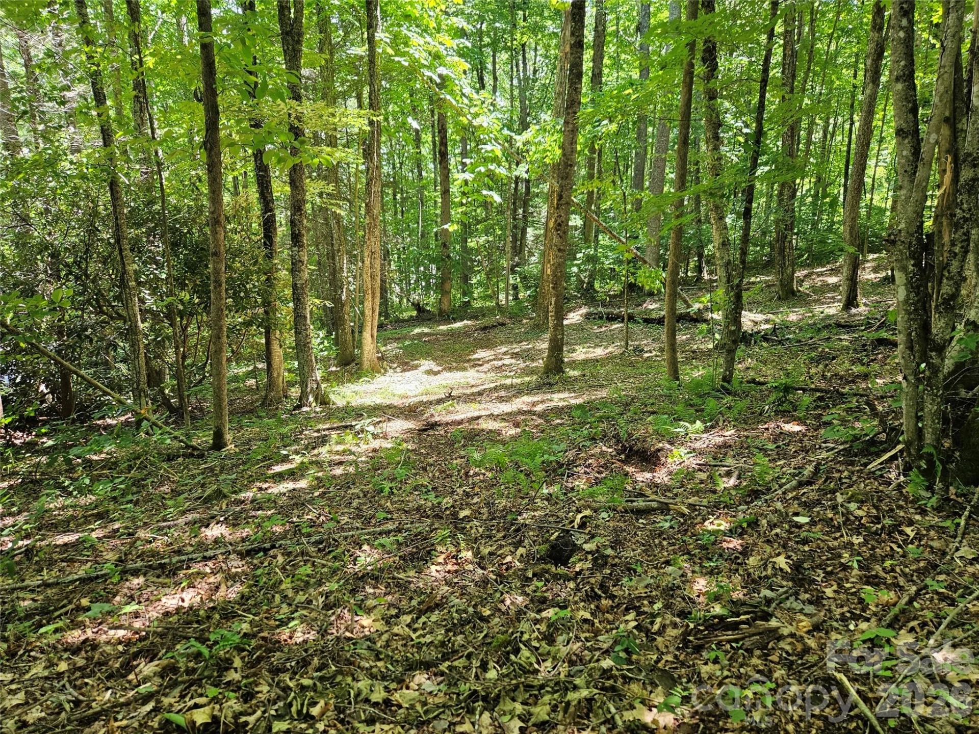 0 Serenity Mountain Road #108 - Photo 28