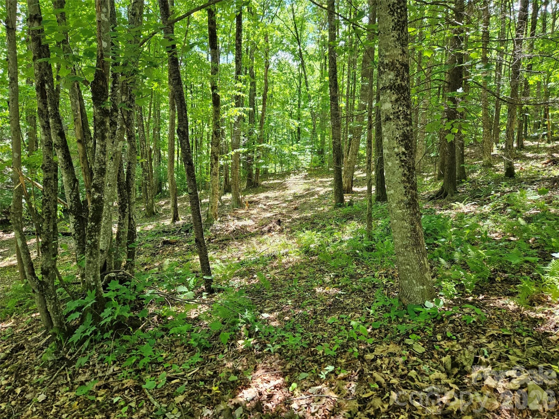 0 Serenity Mountain Road #108 - Photo 30