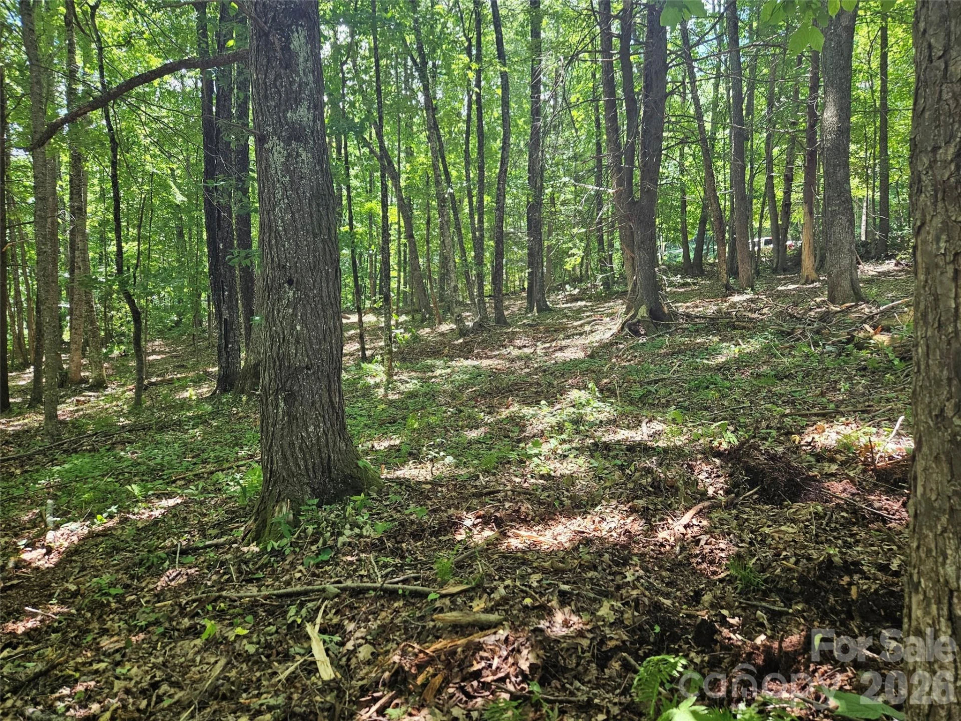 0 Serenity Mountain Road #108 - Photo 31