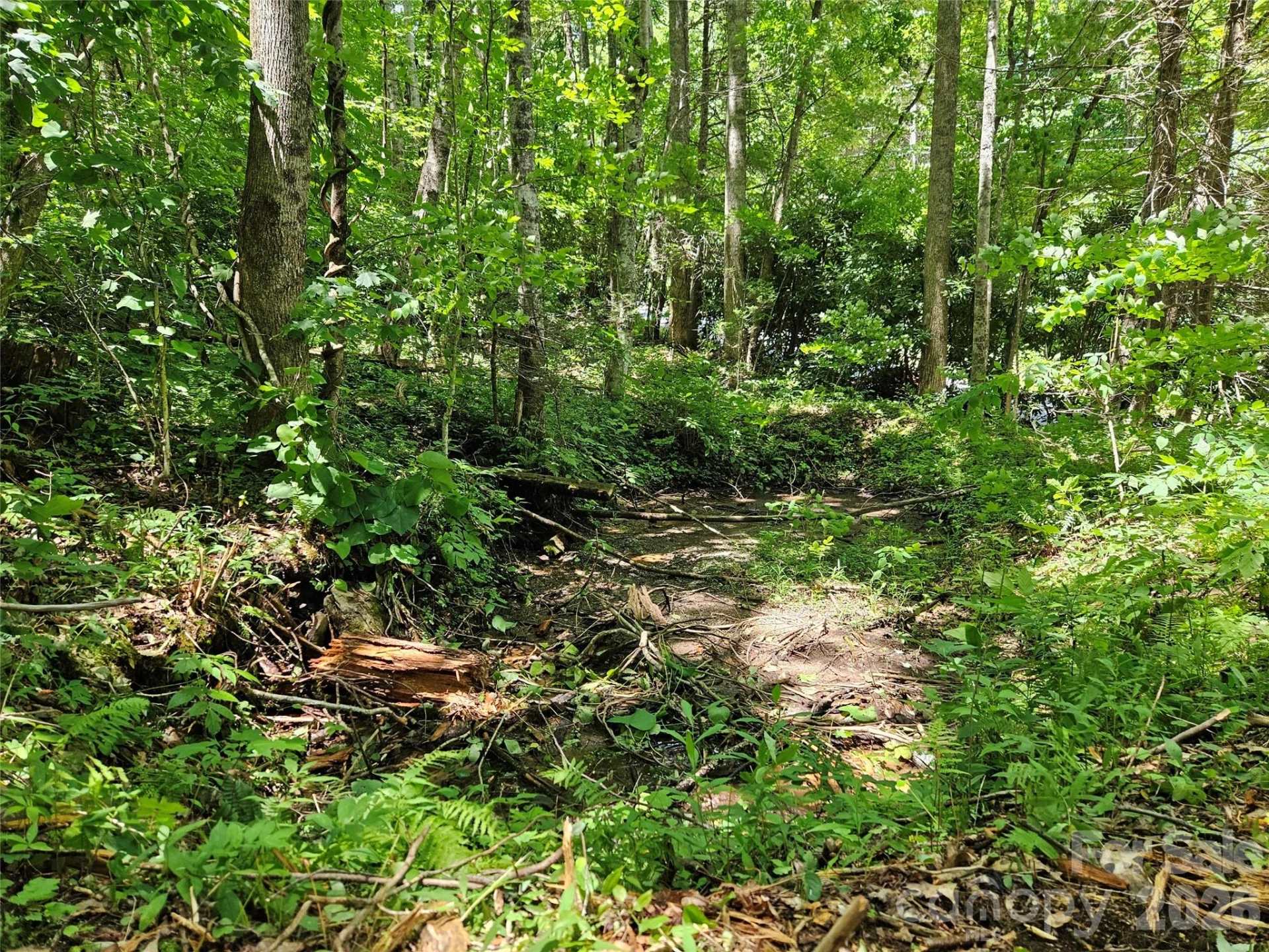 0 Serenity Mountain Road #108 - Photo 32