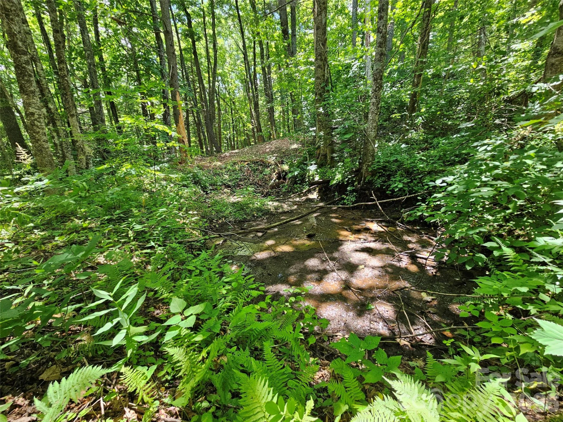 0 Serenity Mountain Road #108 - Photo 34