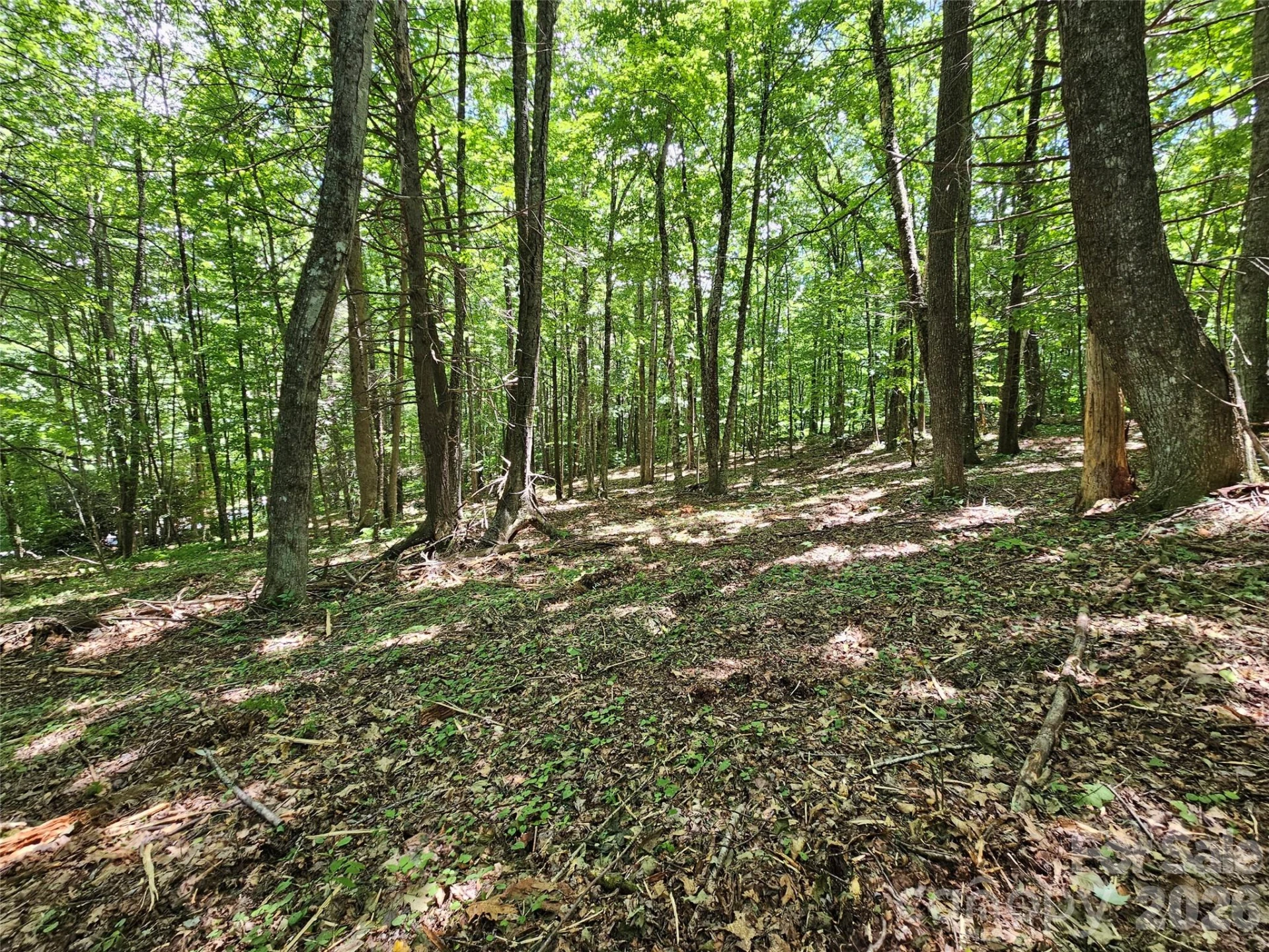 0 Serenity Mountain Road #108 - Photo 35