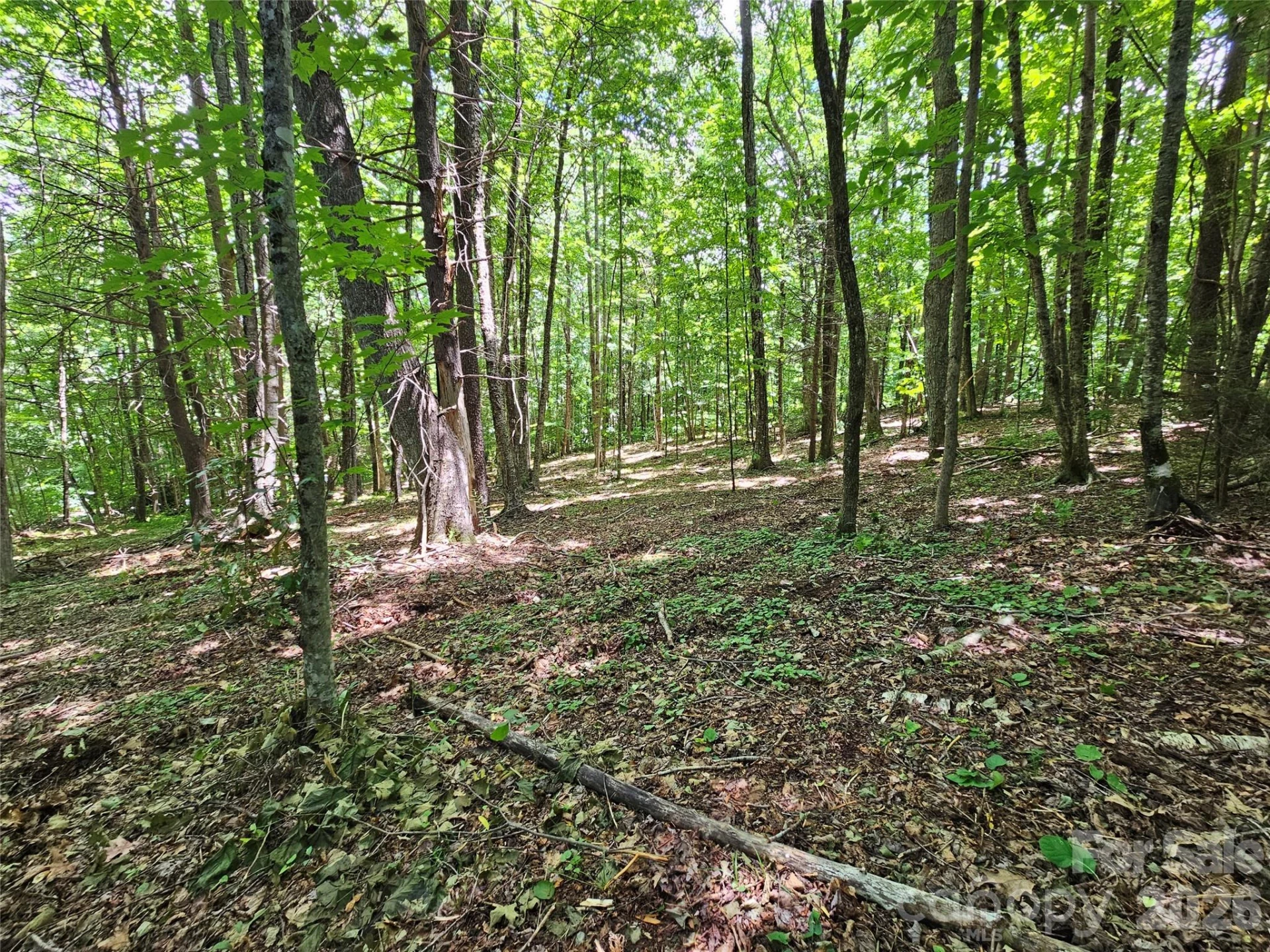 0 Serenity Mountain Road #108 - Photo 36