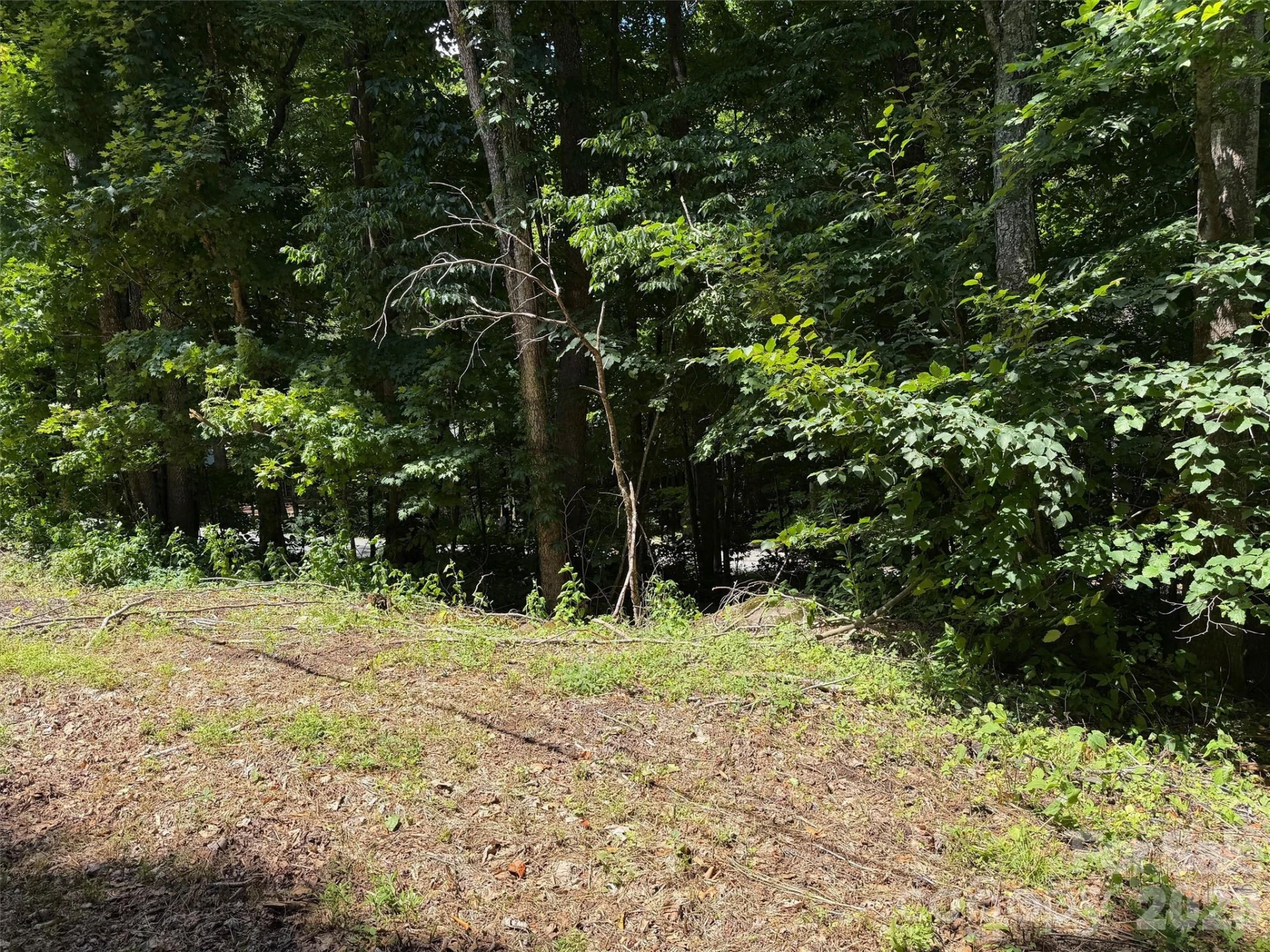 0 Serenity Mountain Road #108 - Photo 4