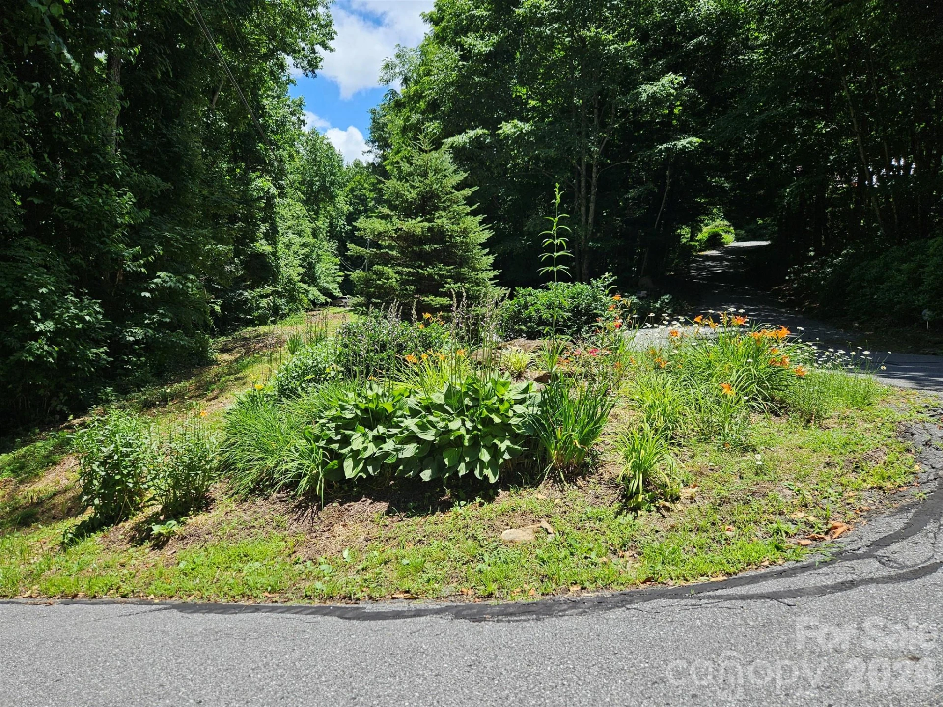 0 Serenity Mountain Road #108 - Photo 38