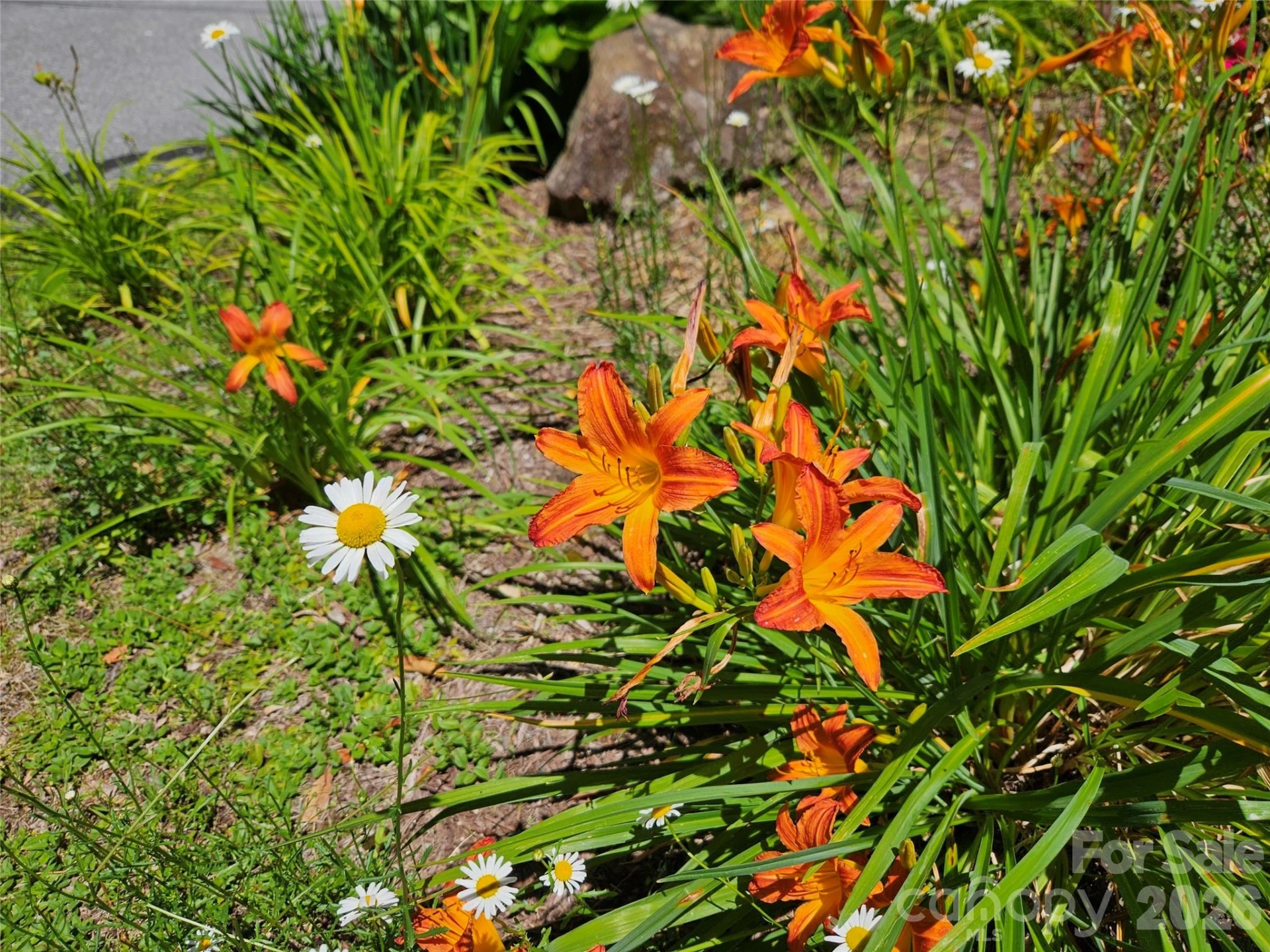 0 Serenity Mountain Road #108 - Photo 39