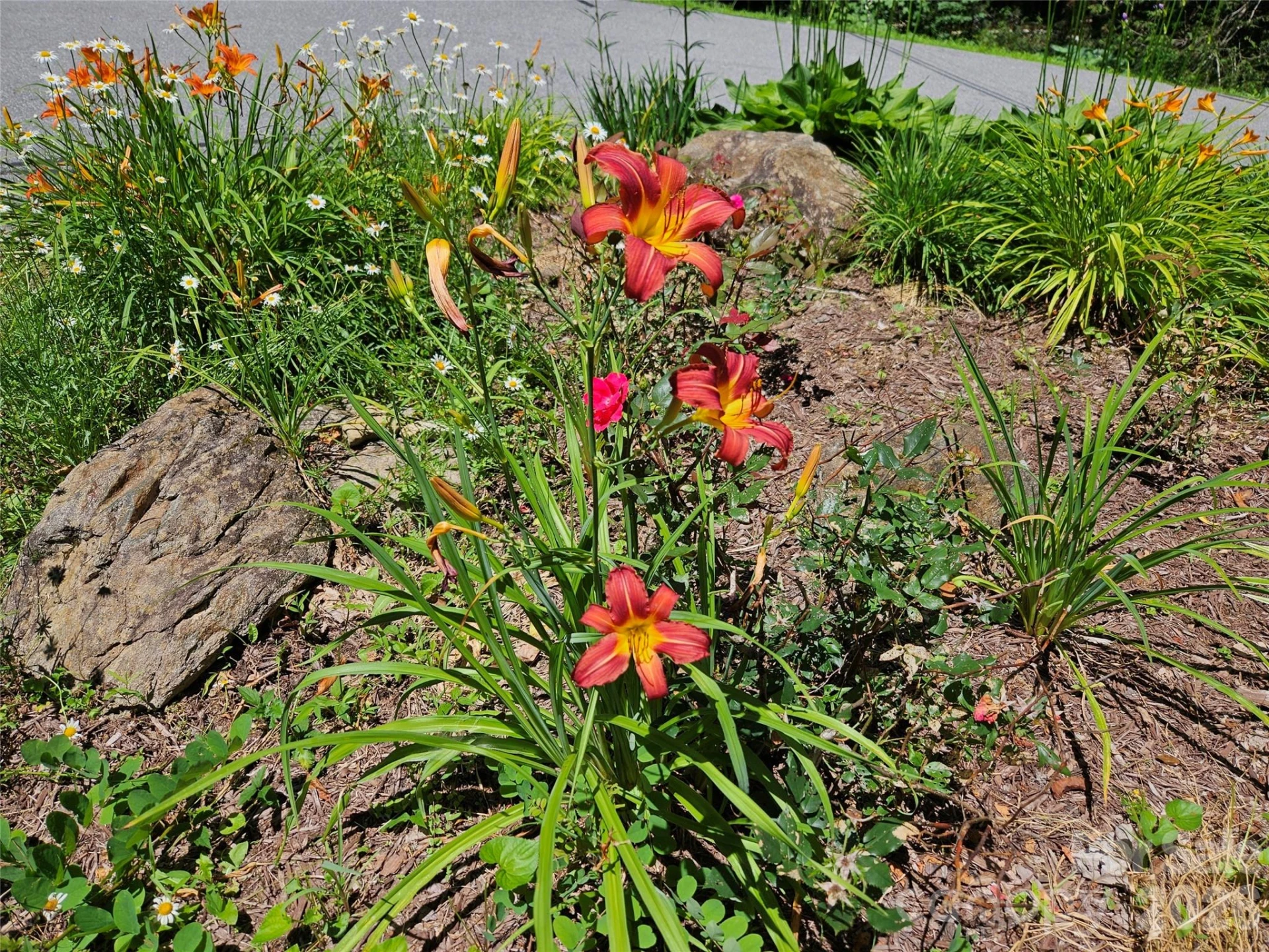 0 Serenity Mountain Road #108 - Photo 40