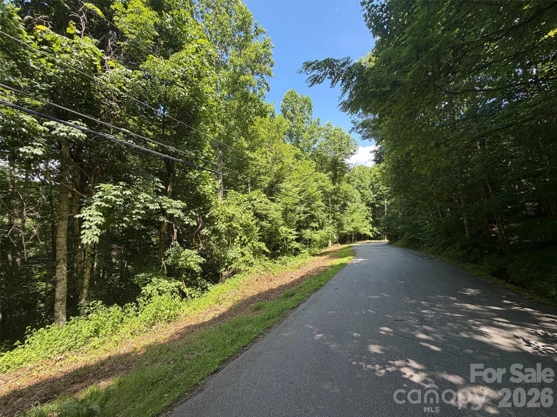 0 Serenity Mountain Road #108 - Photo 5