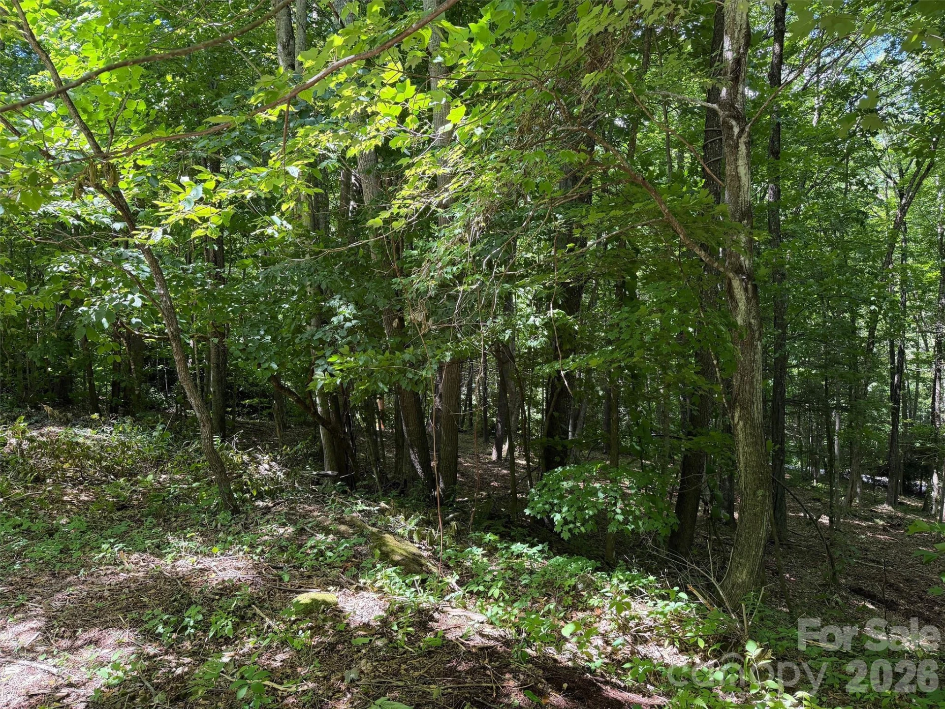 0 Serenity Mountain Road #108 - Photo 7