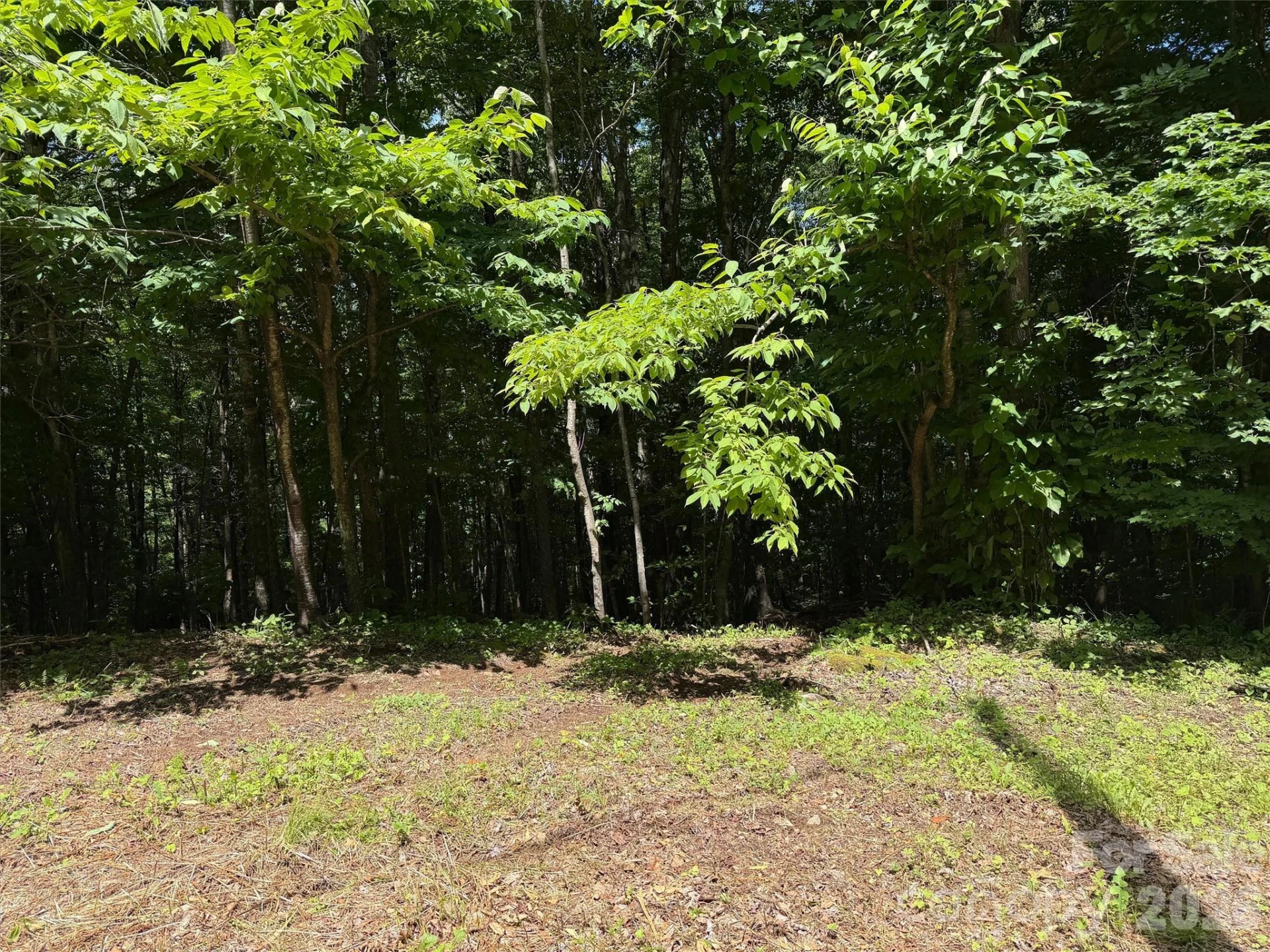 0 Serenity Mountain Road #108 - Photo 9