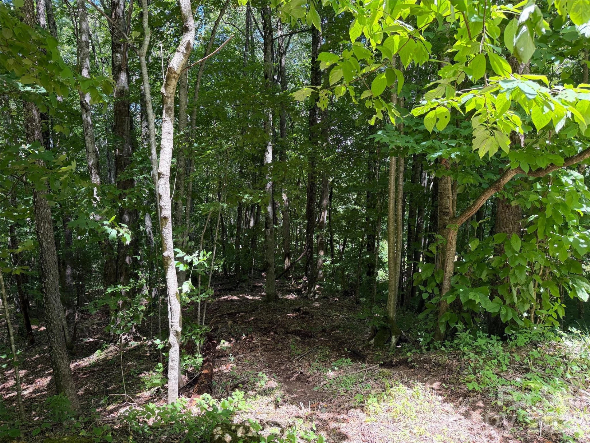 0 Serenity Mountain Road #108 - Photo 10