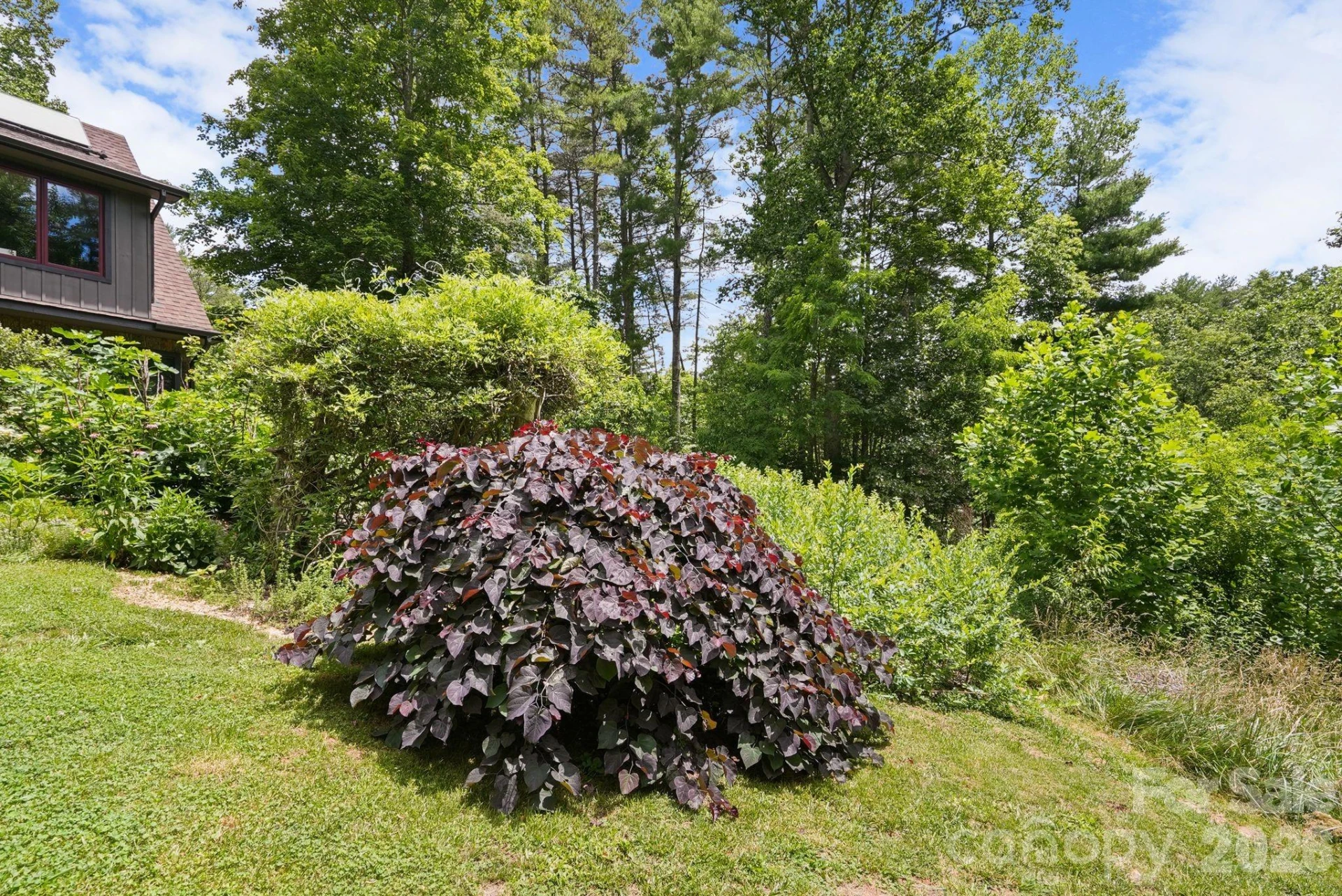24 Merriwood Trail - Photo 41