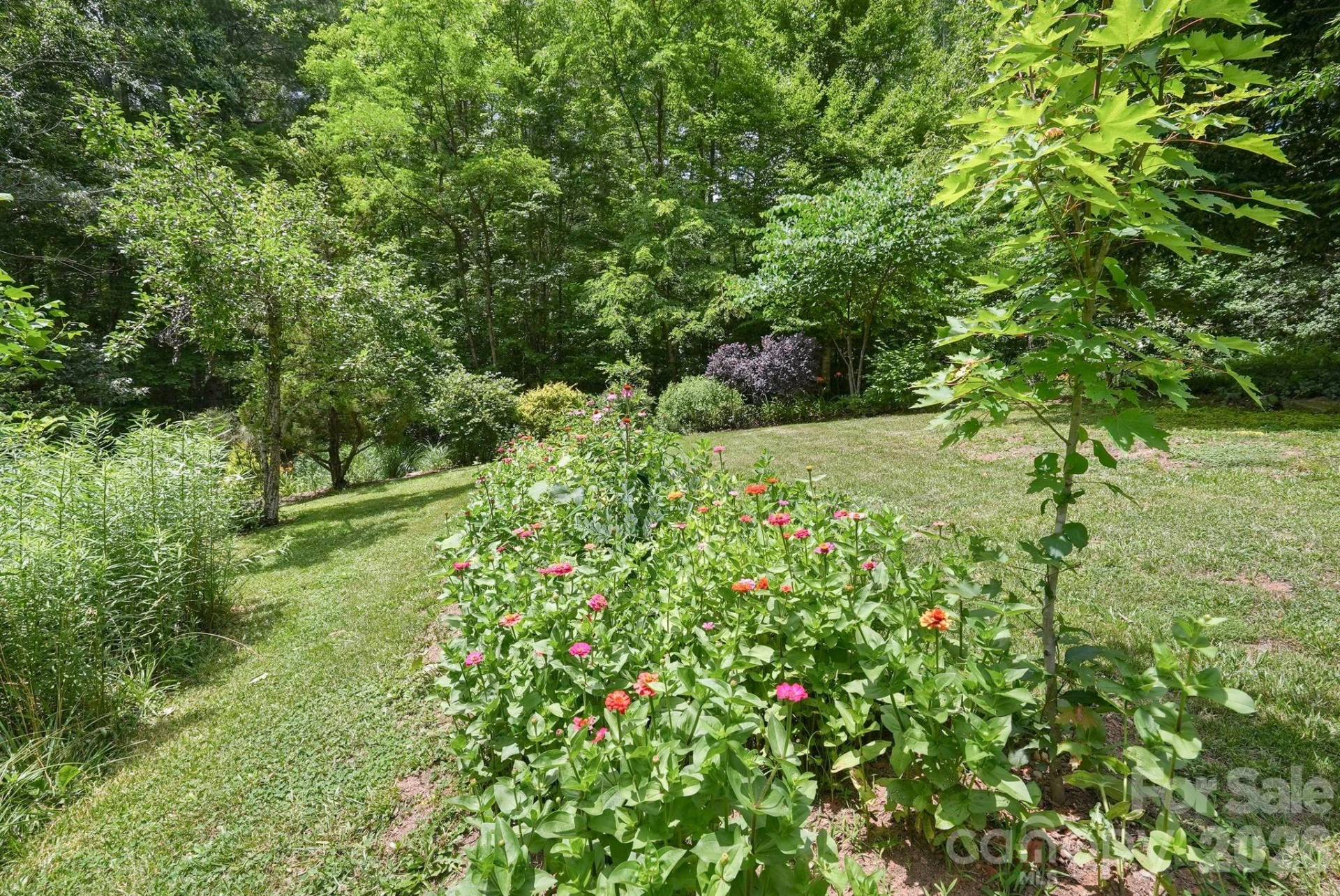 24 Merriwood Trail - Photo 42