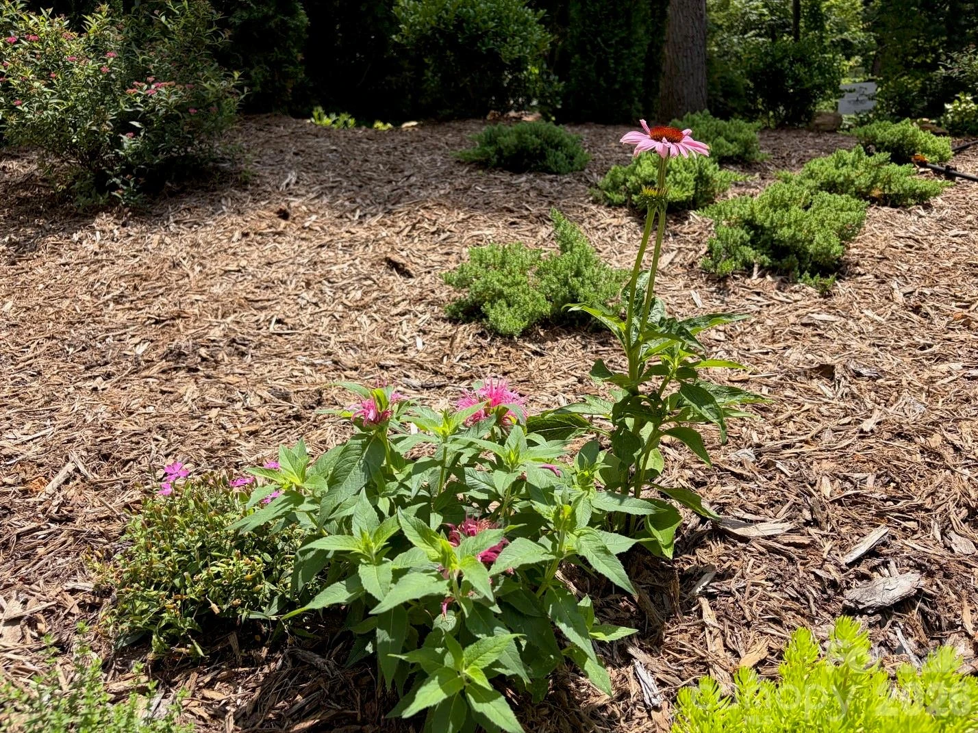 78 Tupper Road - Photo 37