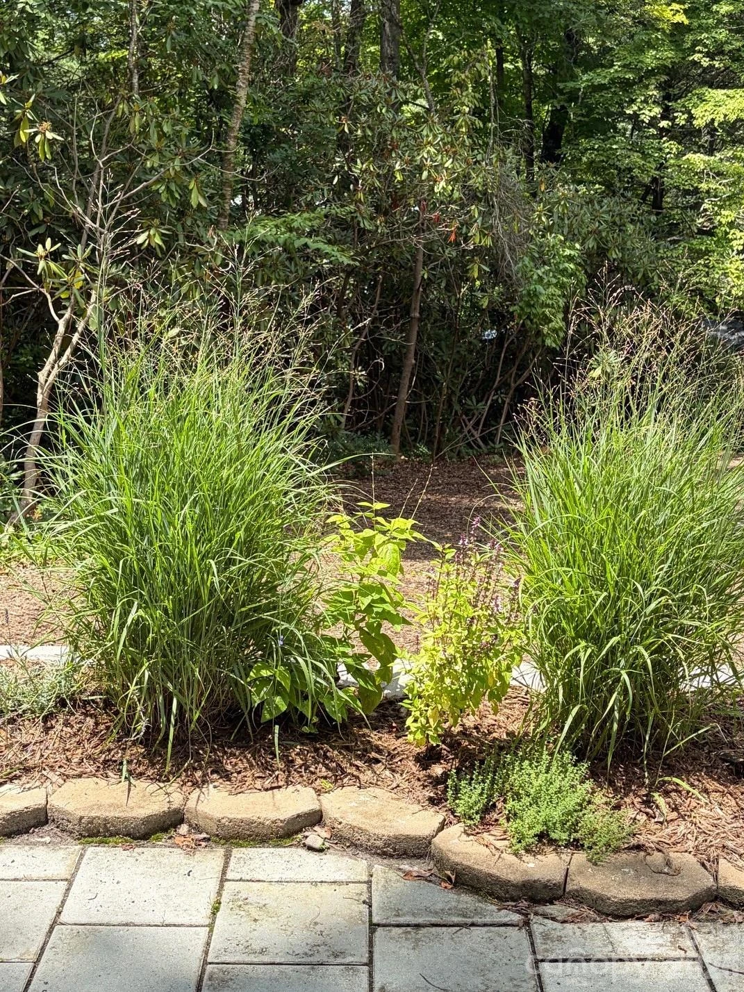 78 Tupper Road - Photo 40