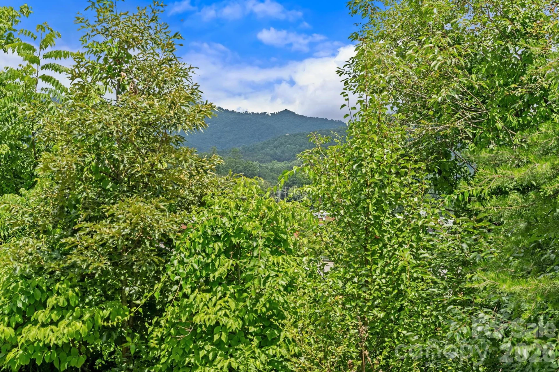 10 Benedict Lane - Photo 14