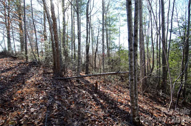 0 Wildwood Mountain Lane