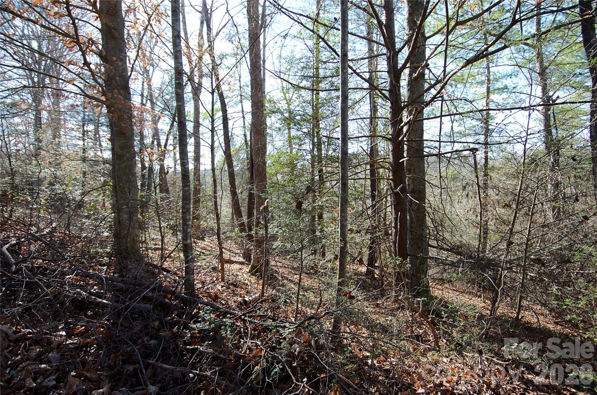 0 Wildwood Mountain Lane #8 - Photo 3
