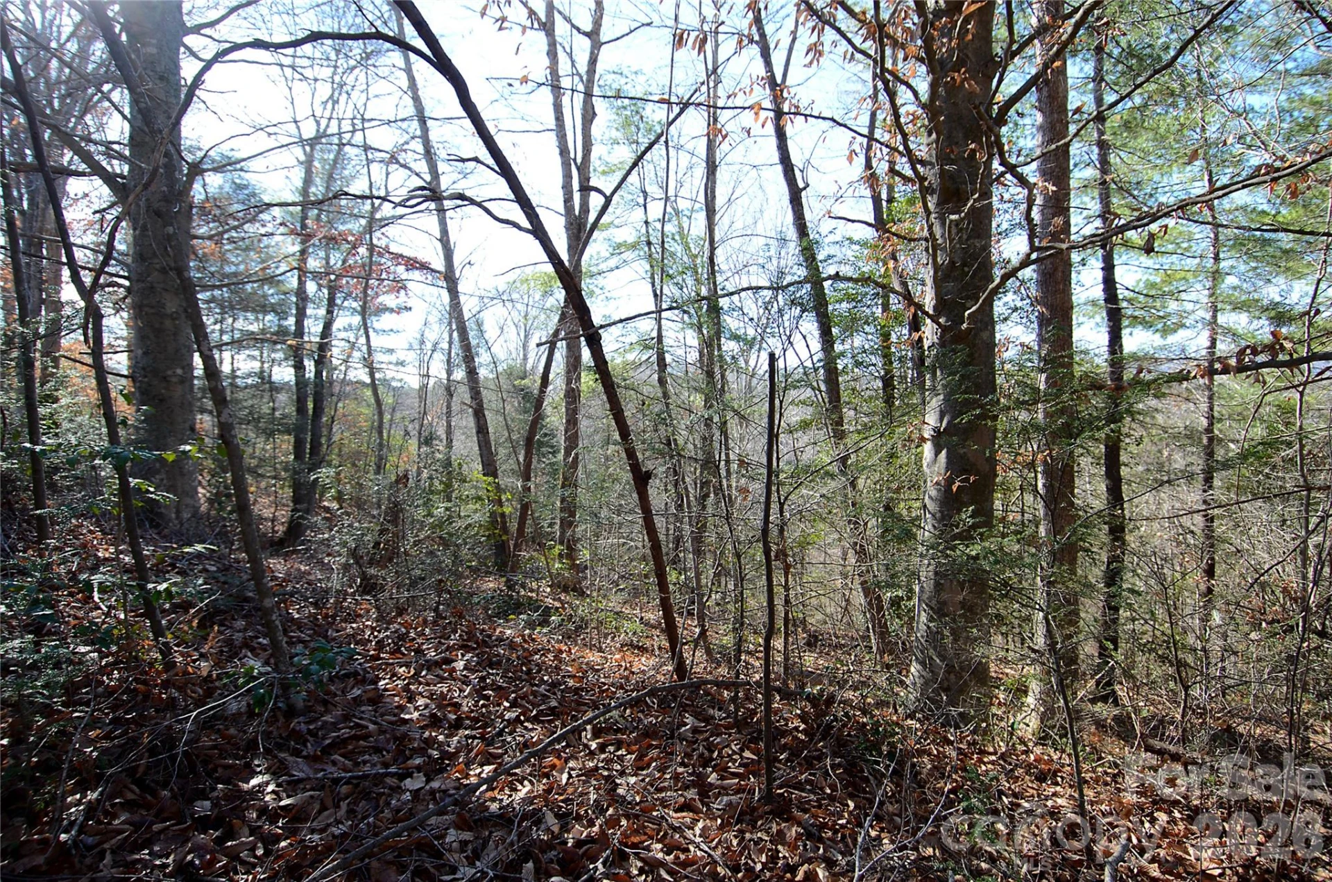 0 Wildwood Mountain Lane #8 - Photo 4