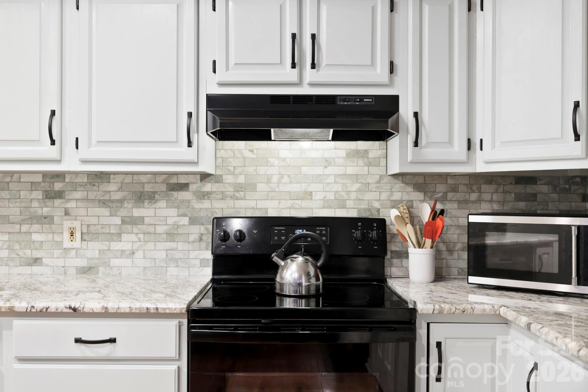 209 Mint Way - Photo 9