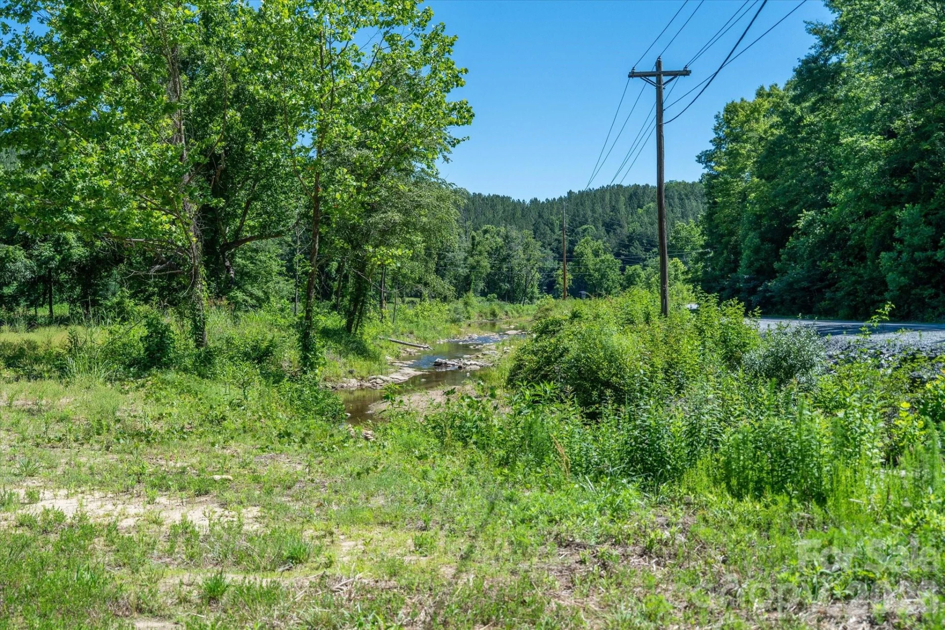 1194 Palmer Road - Photo 4