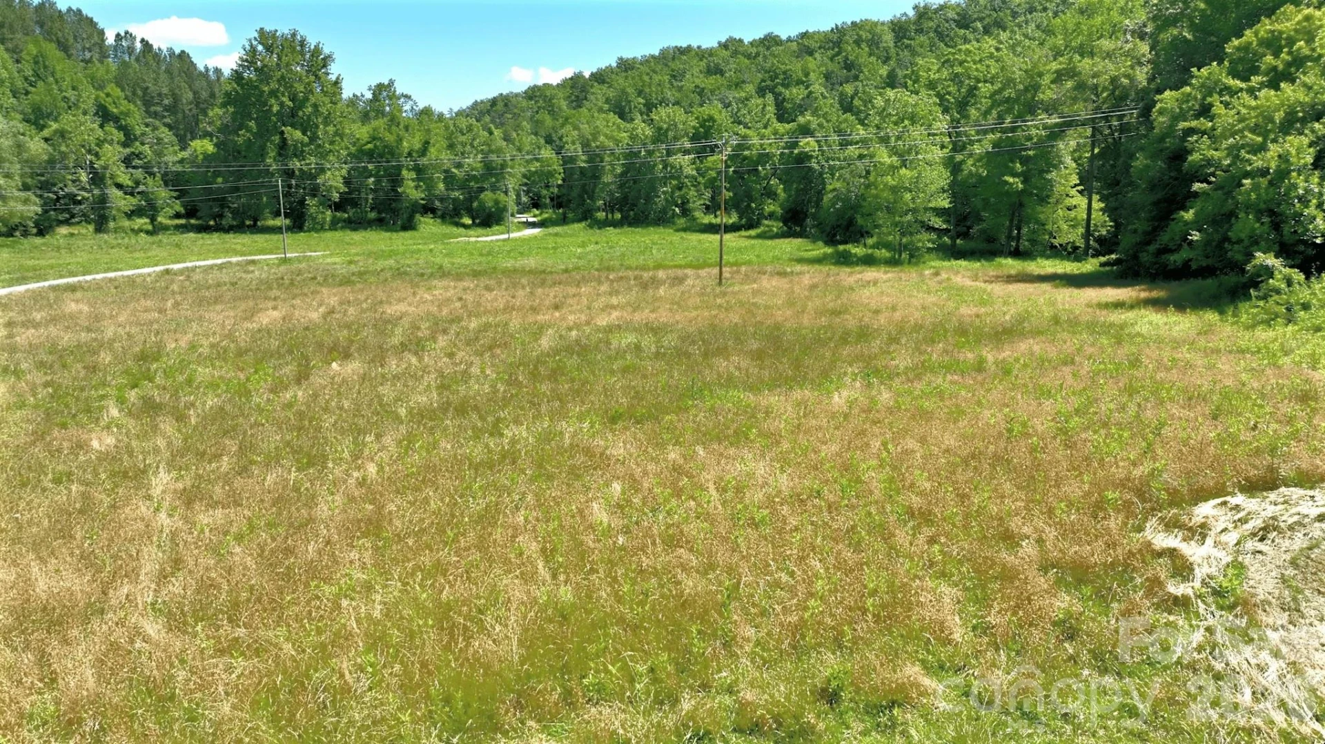 1194 Palmer Road - Photo 5