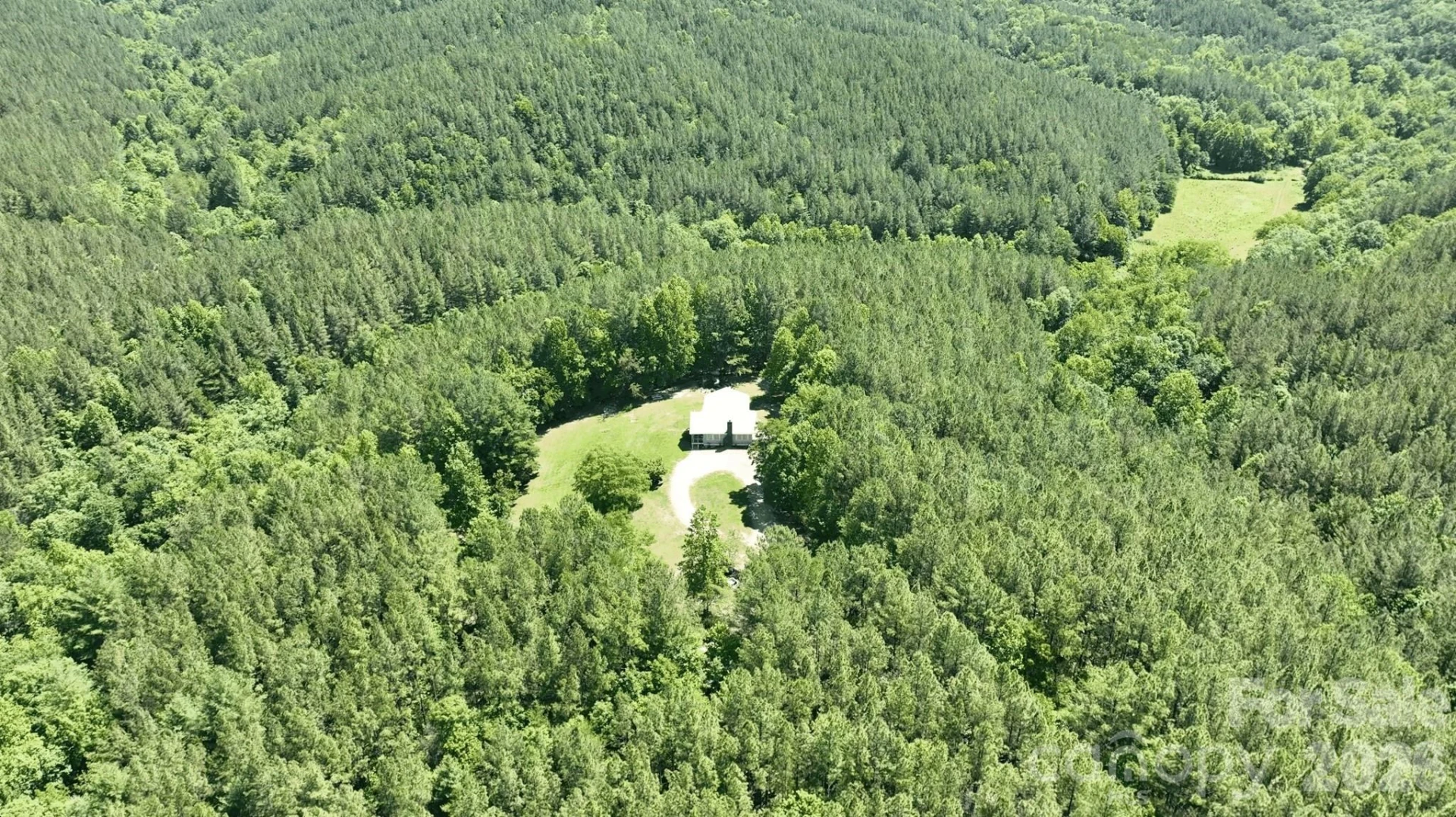 1194 Palmer Road - Photo 9
