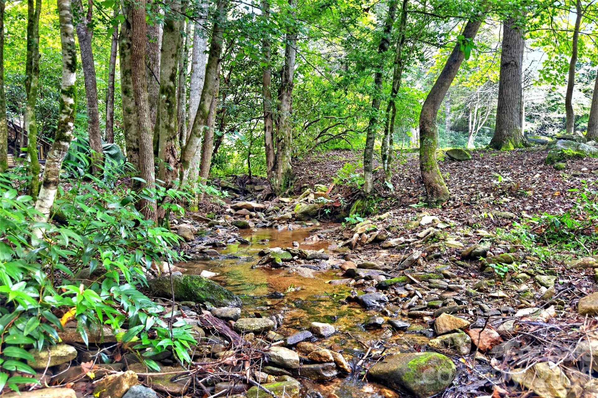 664 Paxton Creek Road - Photo 6