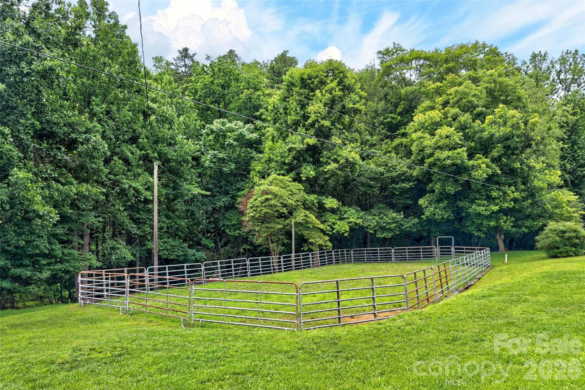 664 Paxton Creek Road - Photo 4