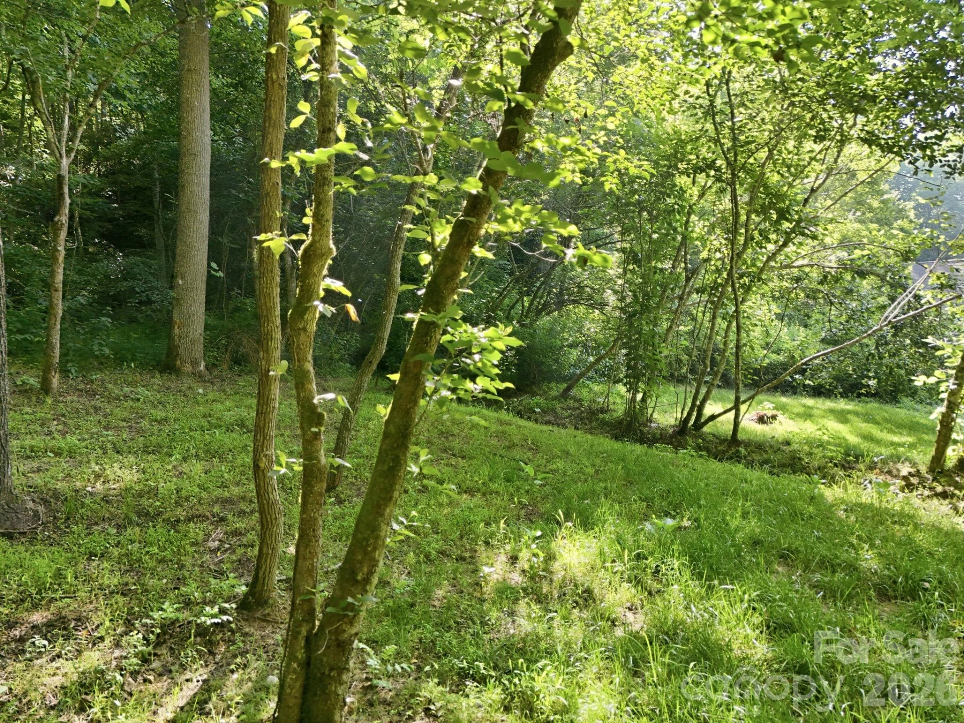 17 Sunny Morning Court - Photo 20