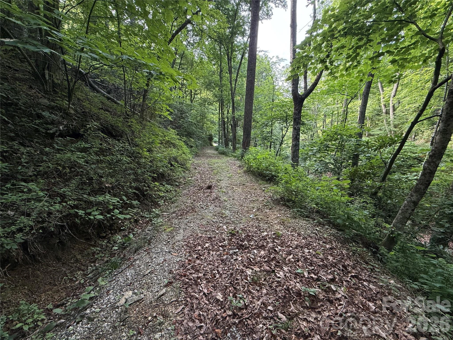 64 Clay View Drive - Photo 3