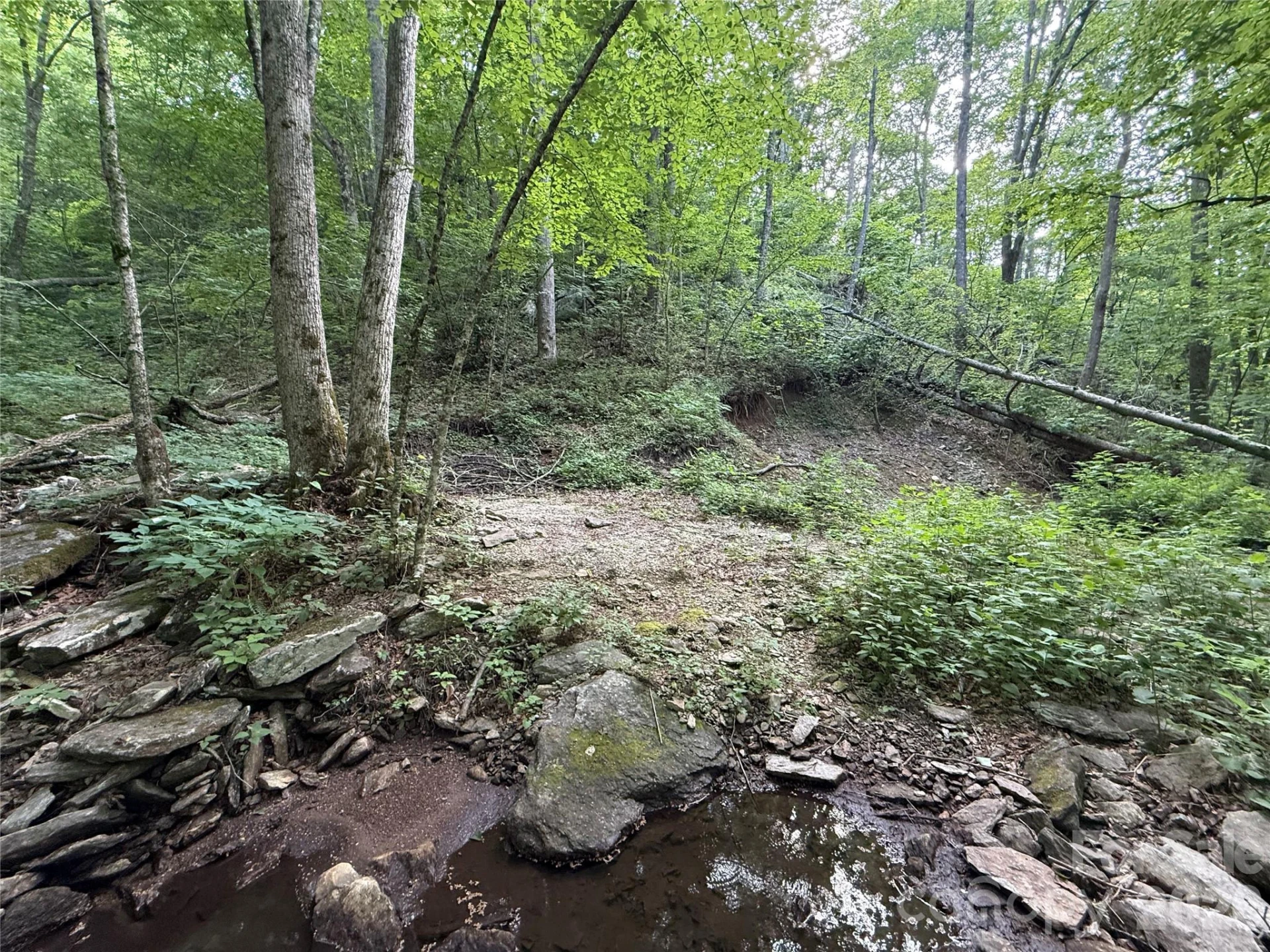 64 Clay View Drive - Photo 13