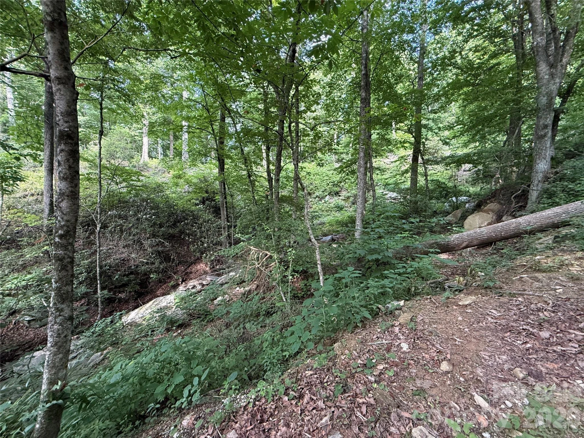 64 Clay View Drive - Photo 8