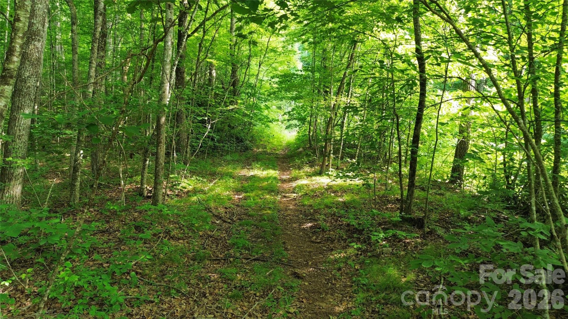 64 Clay View Drive - Photo 17