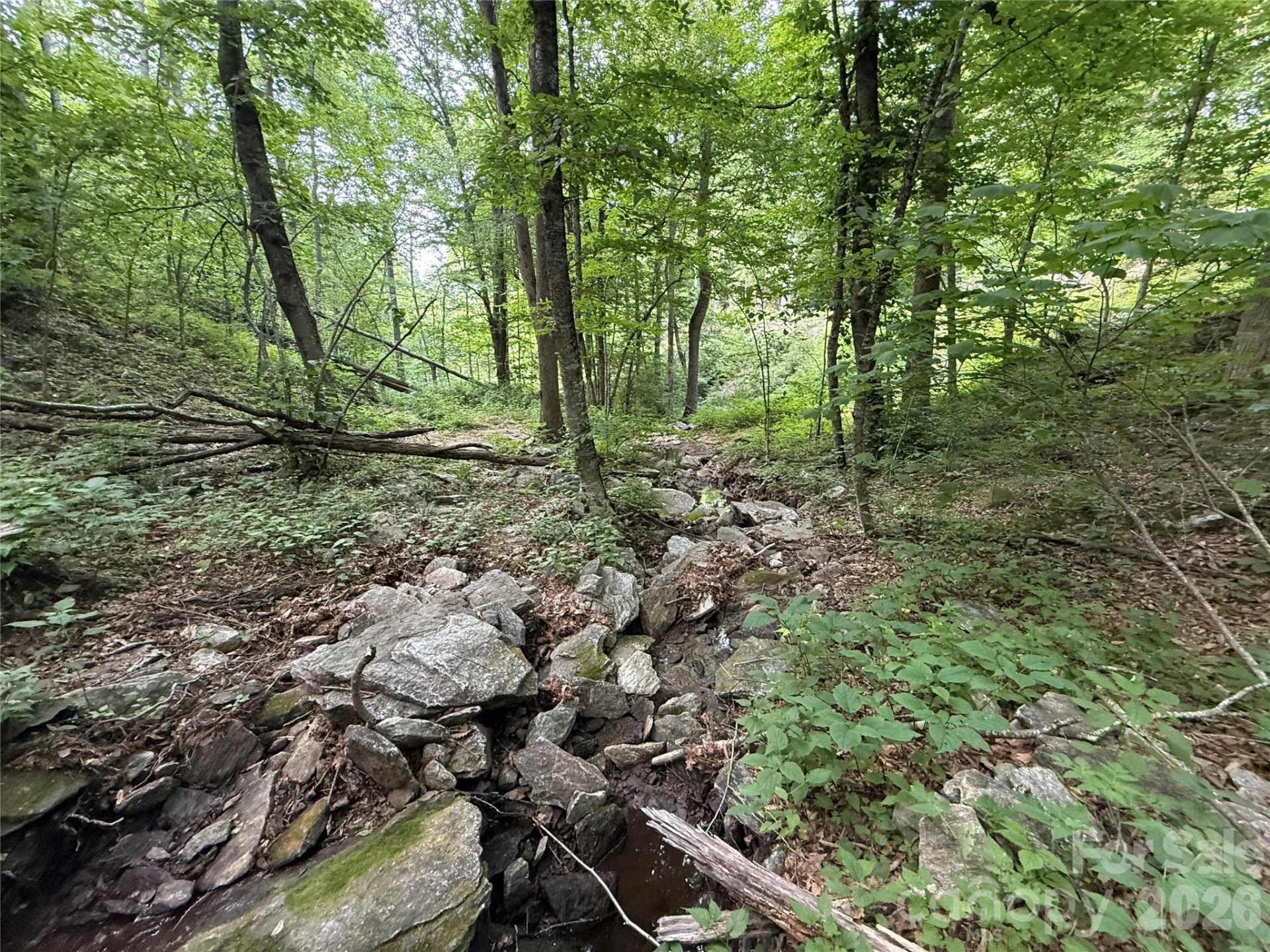 64 Clay View Drive - Photo 11