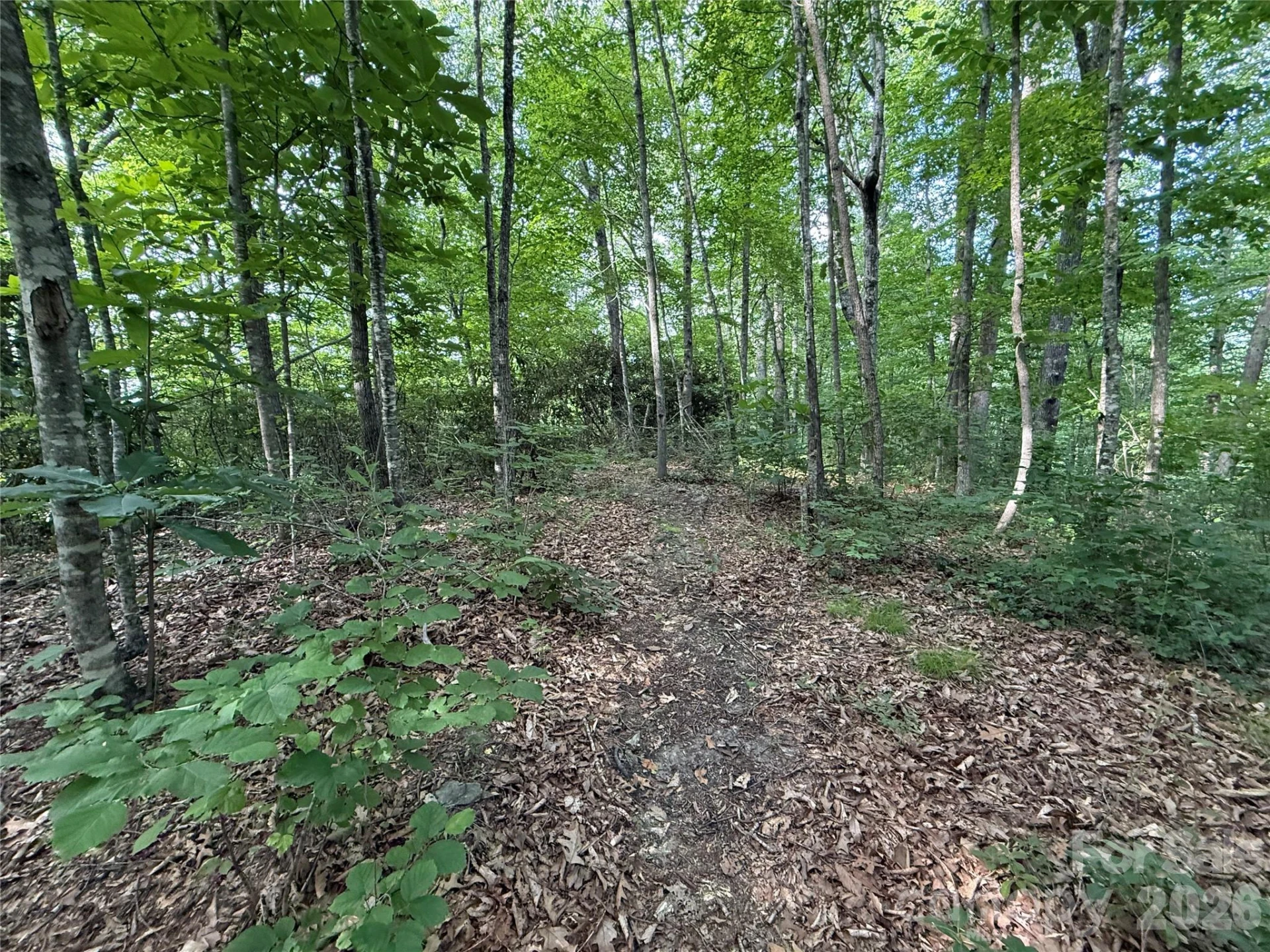 64 Clay View Drive - Photo 12