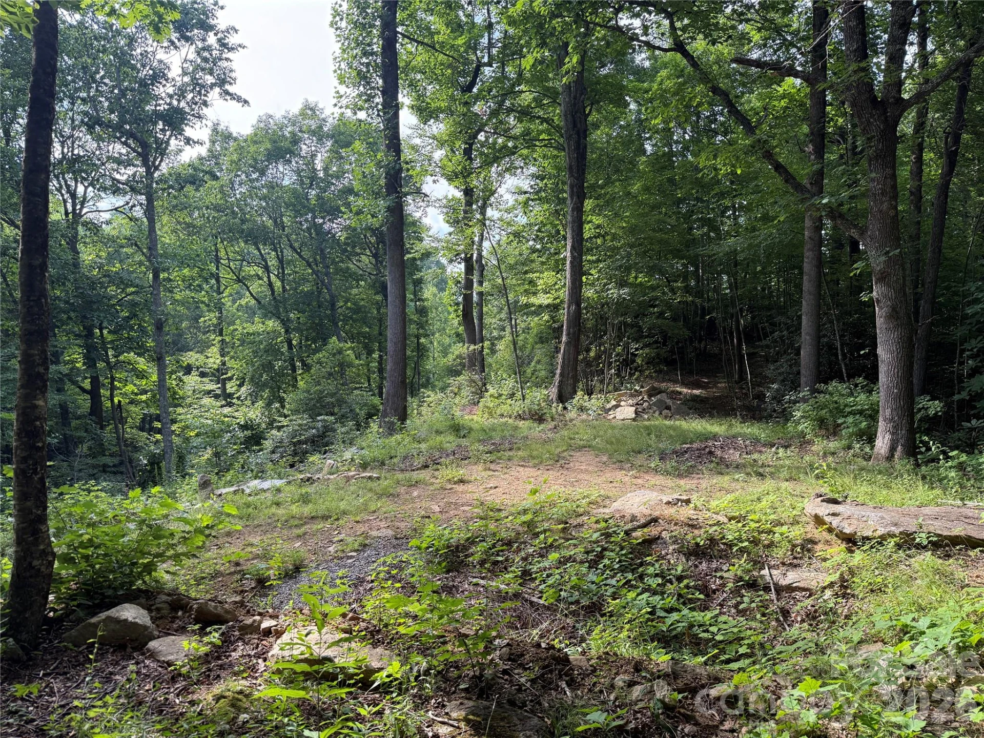 64 Clay View Drive - Photo 6