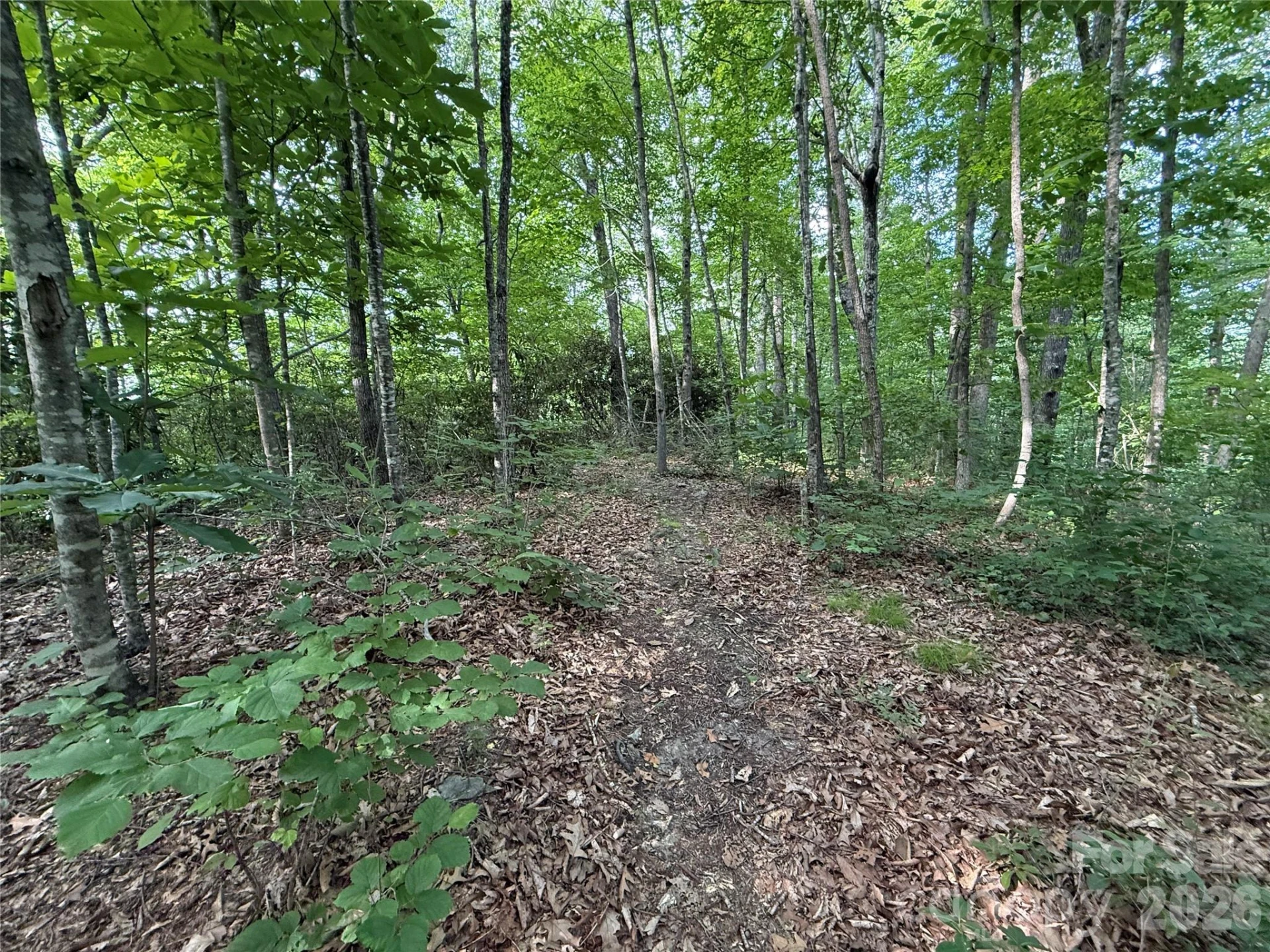 64 Clay View Drive - Photo 4