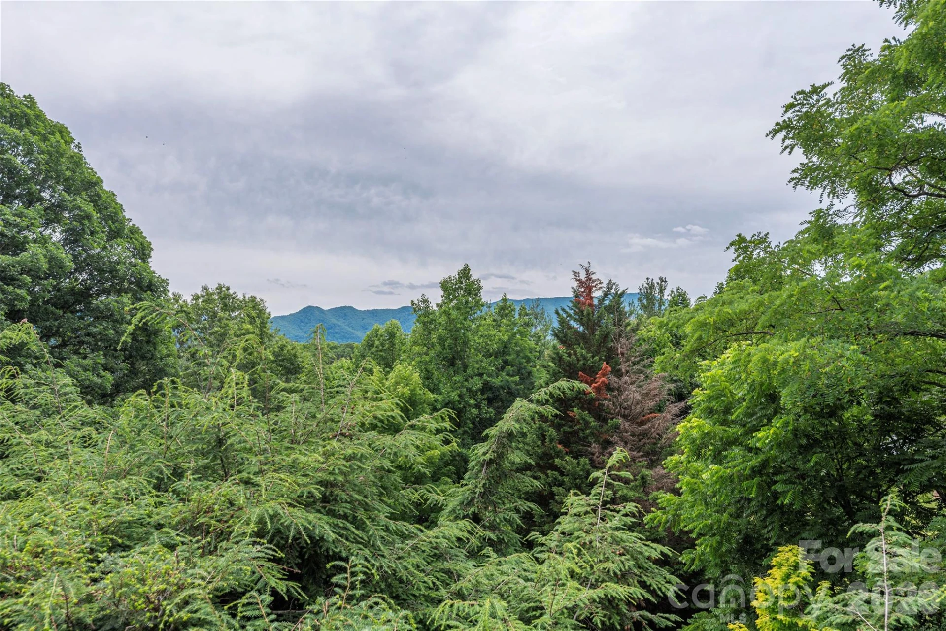 94 Oakcrest Lane - Photo 27