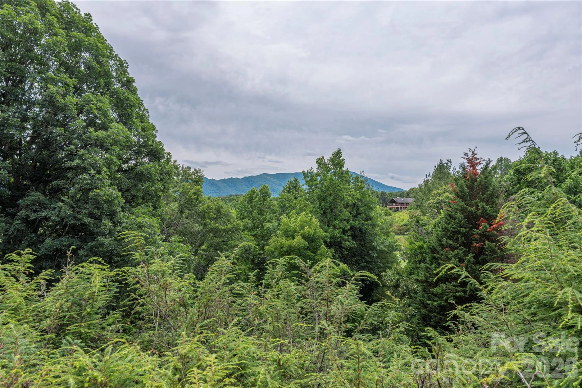 94 Oakcrest Lane - Photo 32