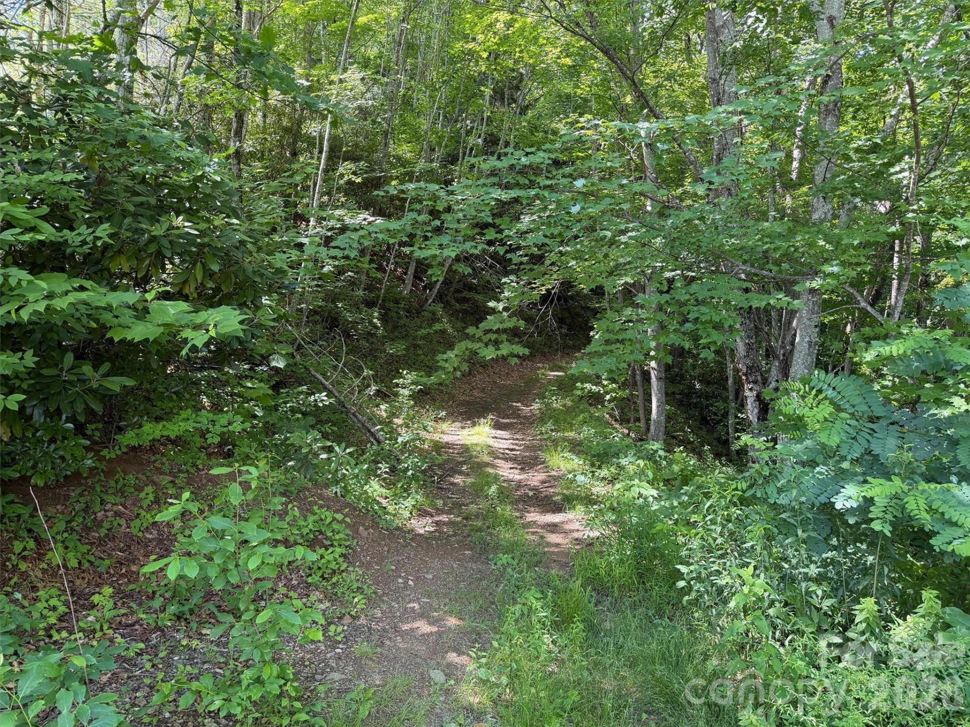 00 Rising Sun Road #338 - Photo 2