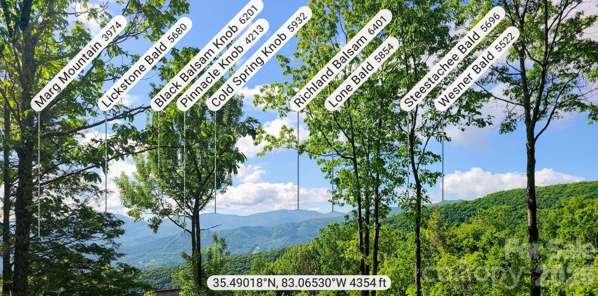 00 Rising Sun Road #338 - Photo 12